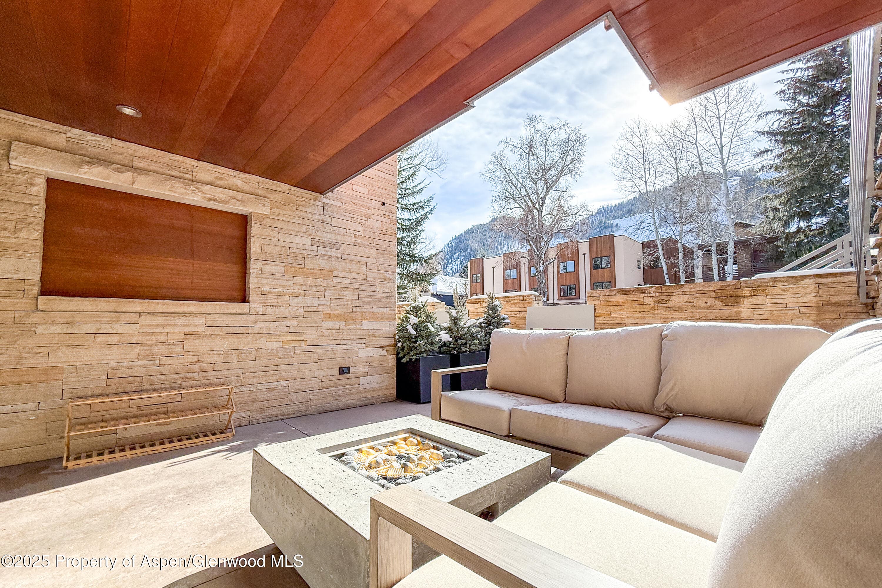 100 E Cooper Avenue 4, Aspen, CO 81611 - Photo 19