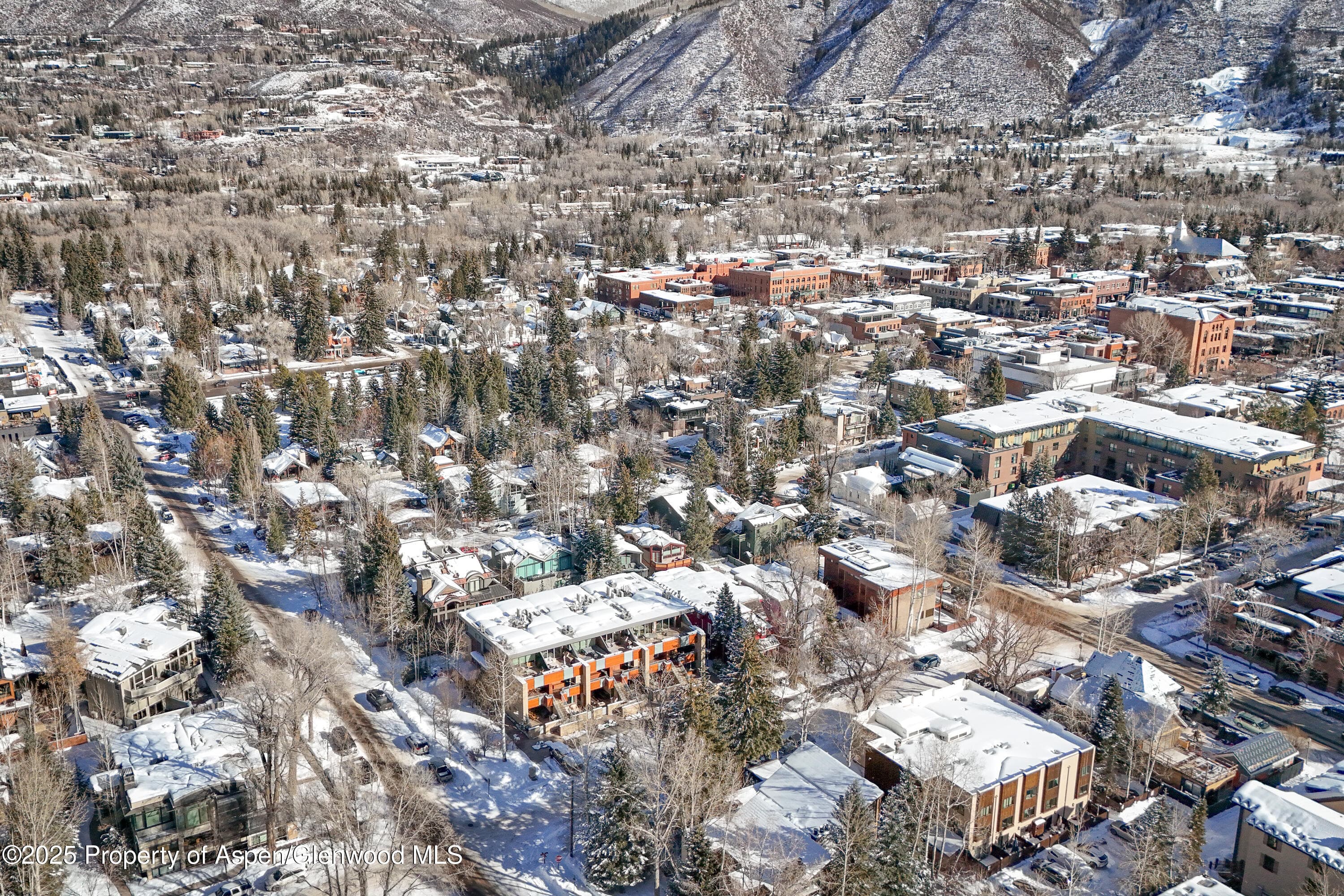 100 E Cooper Avenue 4, Aspen, CO 81611 - Photo 24