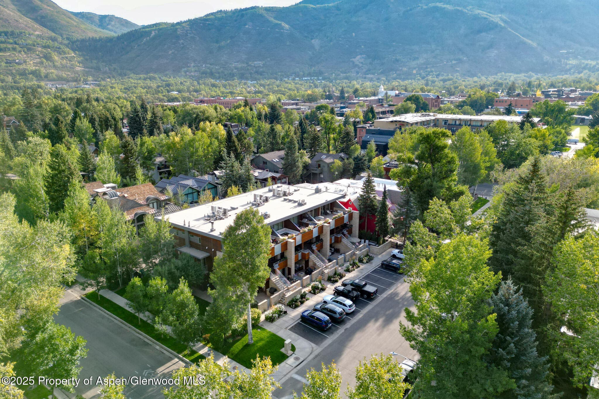 100 E Cooper Avenue 4, Aspen, CO 81611 - Photo 20