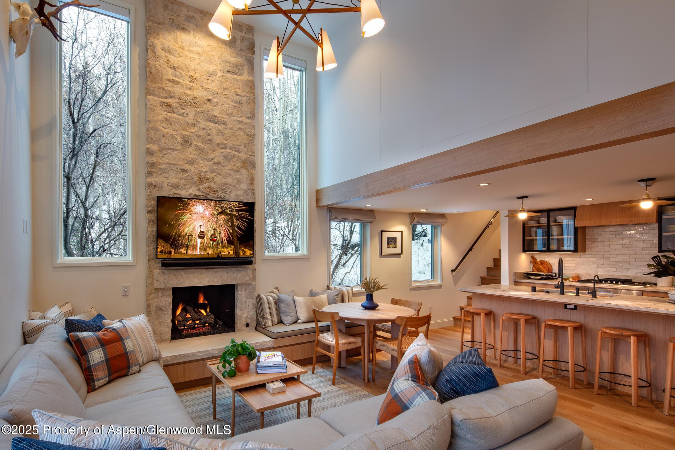 800 S Mill Street 201C, Aspen, CO 81611 - Photo 2