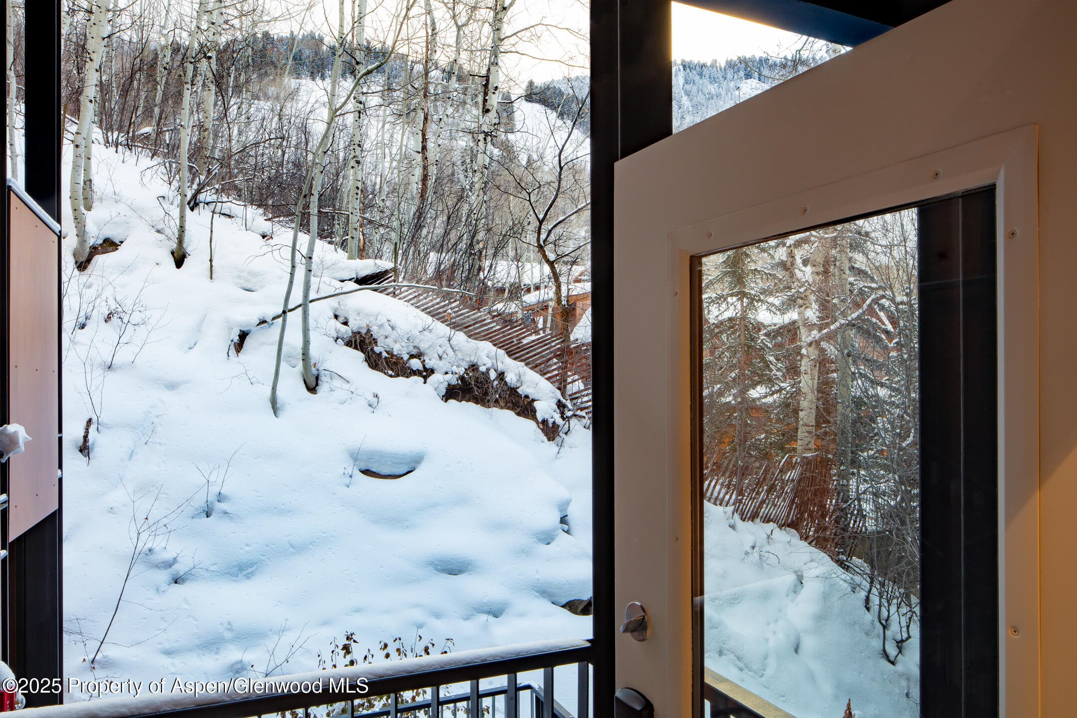 800 S Mill Street 201C, Aspen, CO 81611 - Photo 7