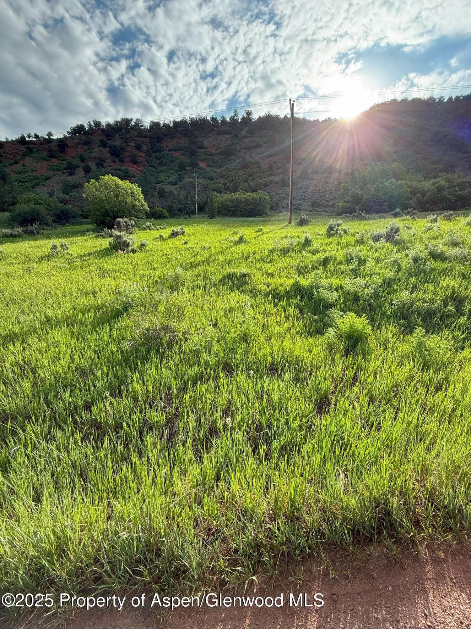 354 Snowmass Creek Road, Snowmass, CO 81654 - Photo 29