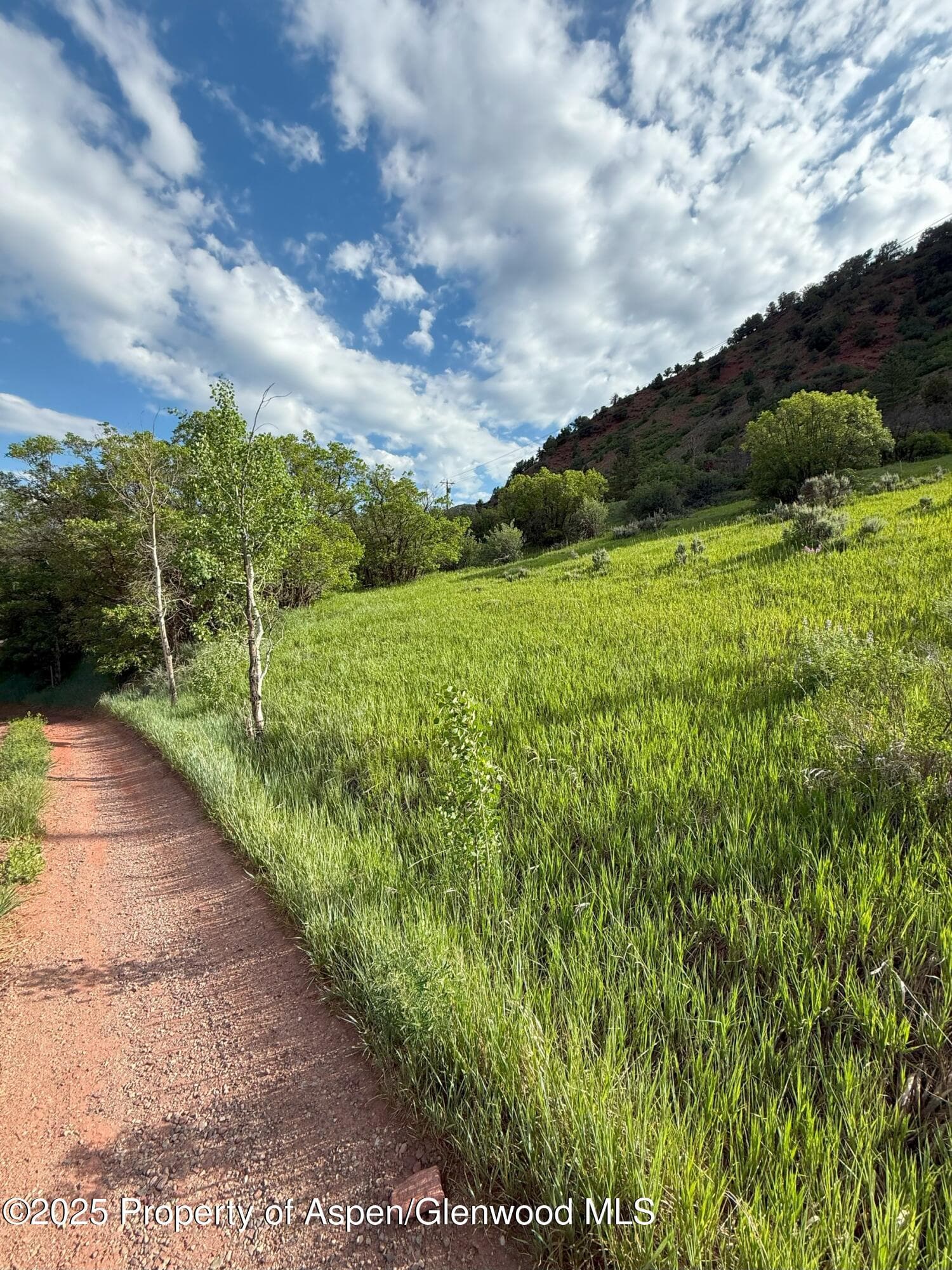354 Snowmass Creek Road, Snowmass, CO 81654 - Photo 31