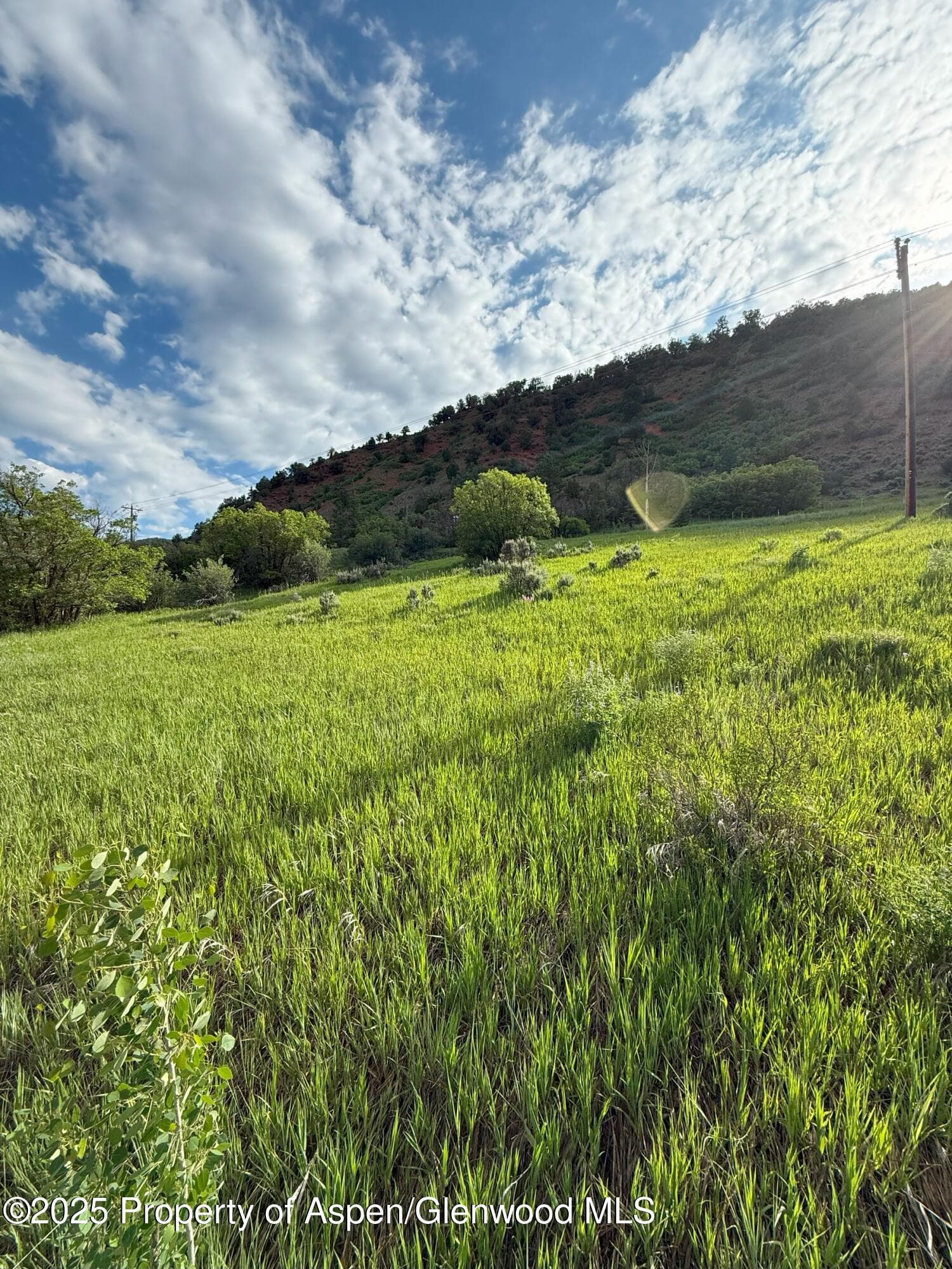 354 Snowmass Creek Road, Snowmass, CO 81654 - Photo 28