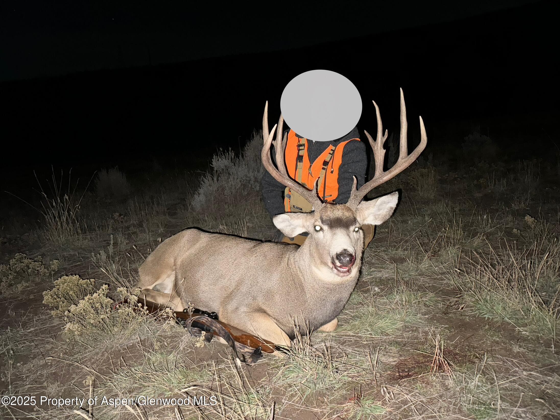 10444 County Road 320, Rifle, CO 81650 - Photo 9