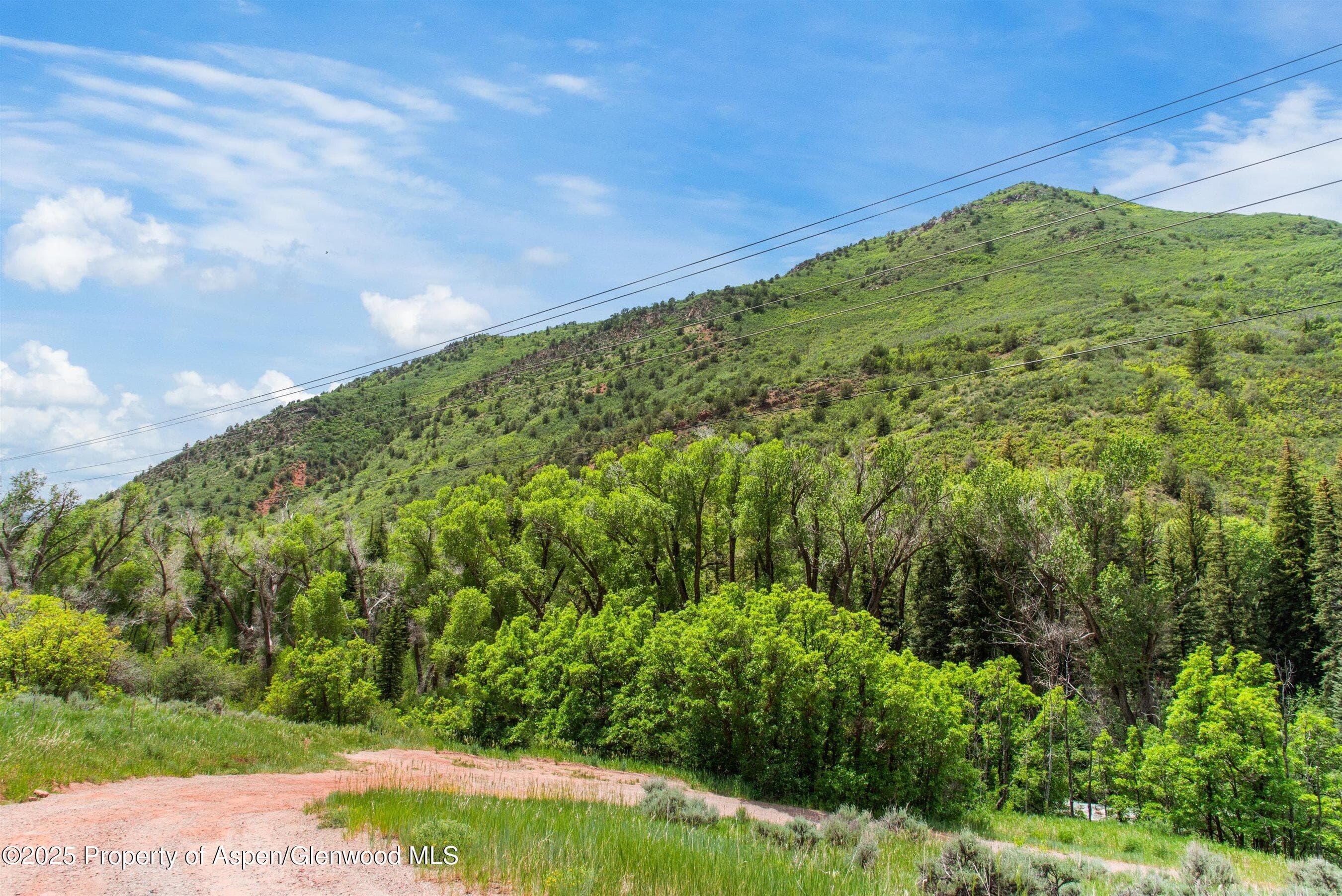 354 Snowmass Creek Road, Snowmass, CO 81654 - Photo 9