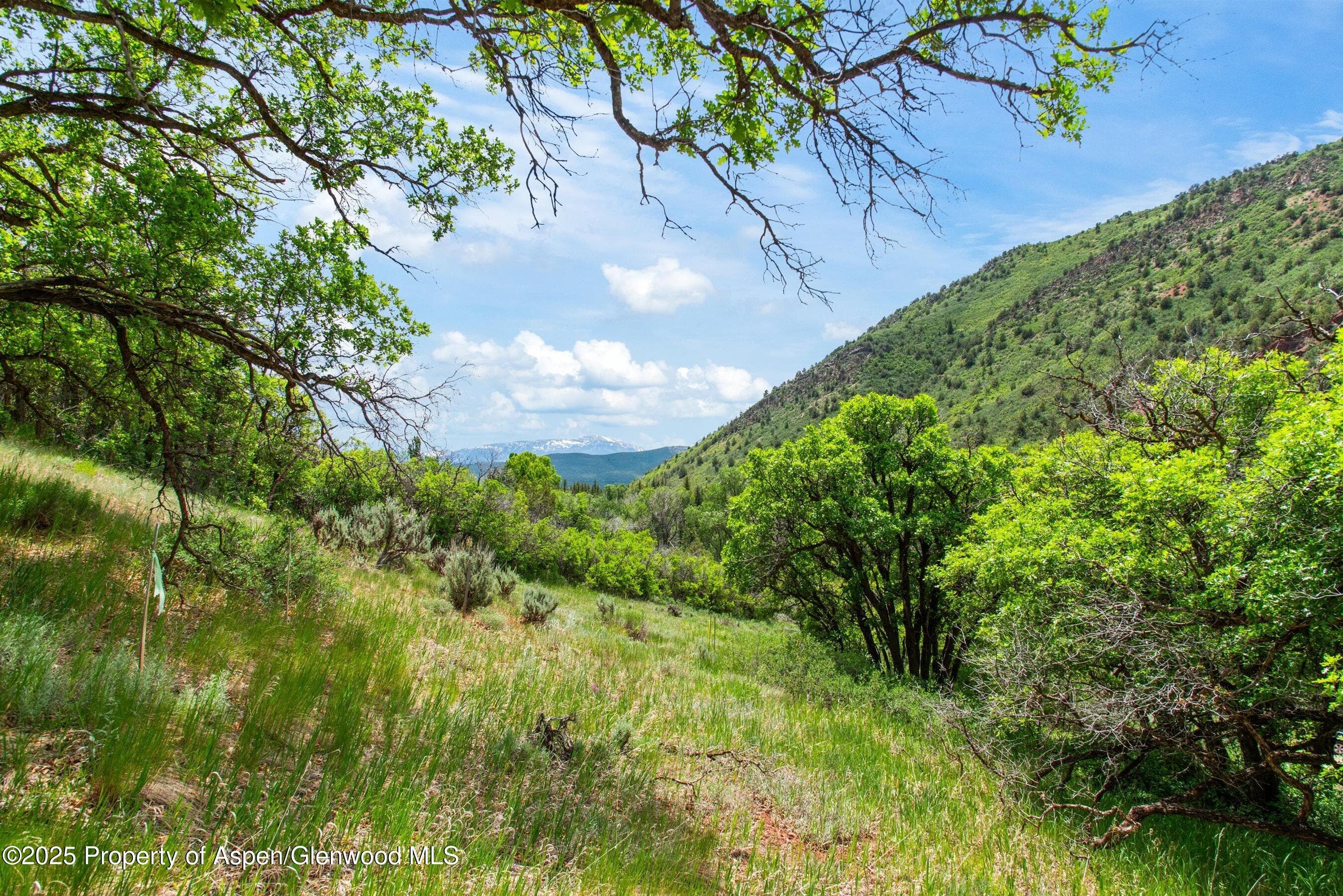 354 Snowmass Creek Road, Snowmass, CO 81654 - Photo 3