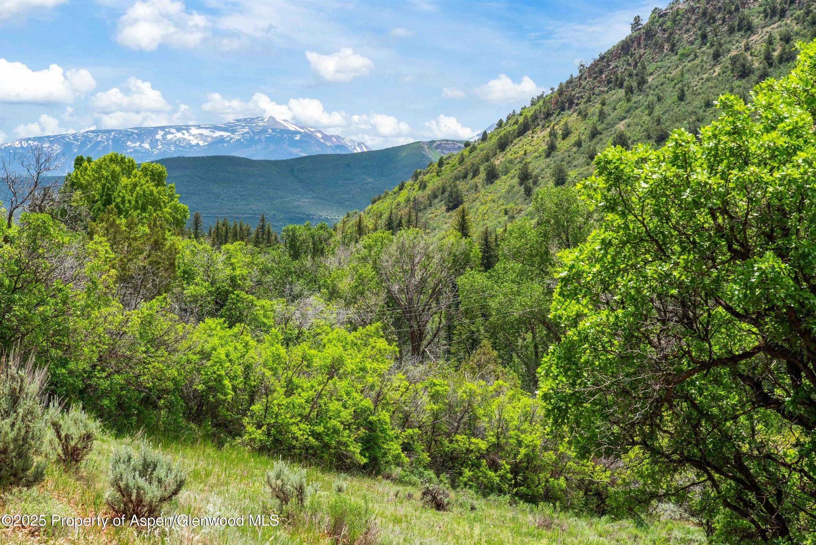 354 Snowmass Creek Road, Snowmass, CO 81654 - Photo 2