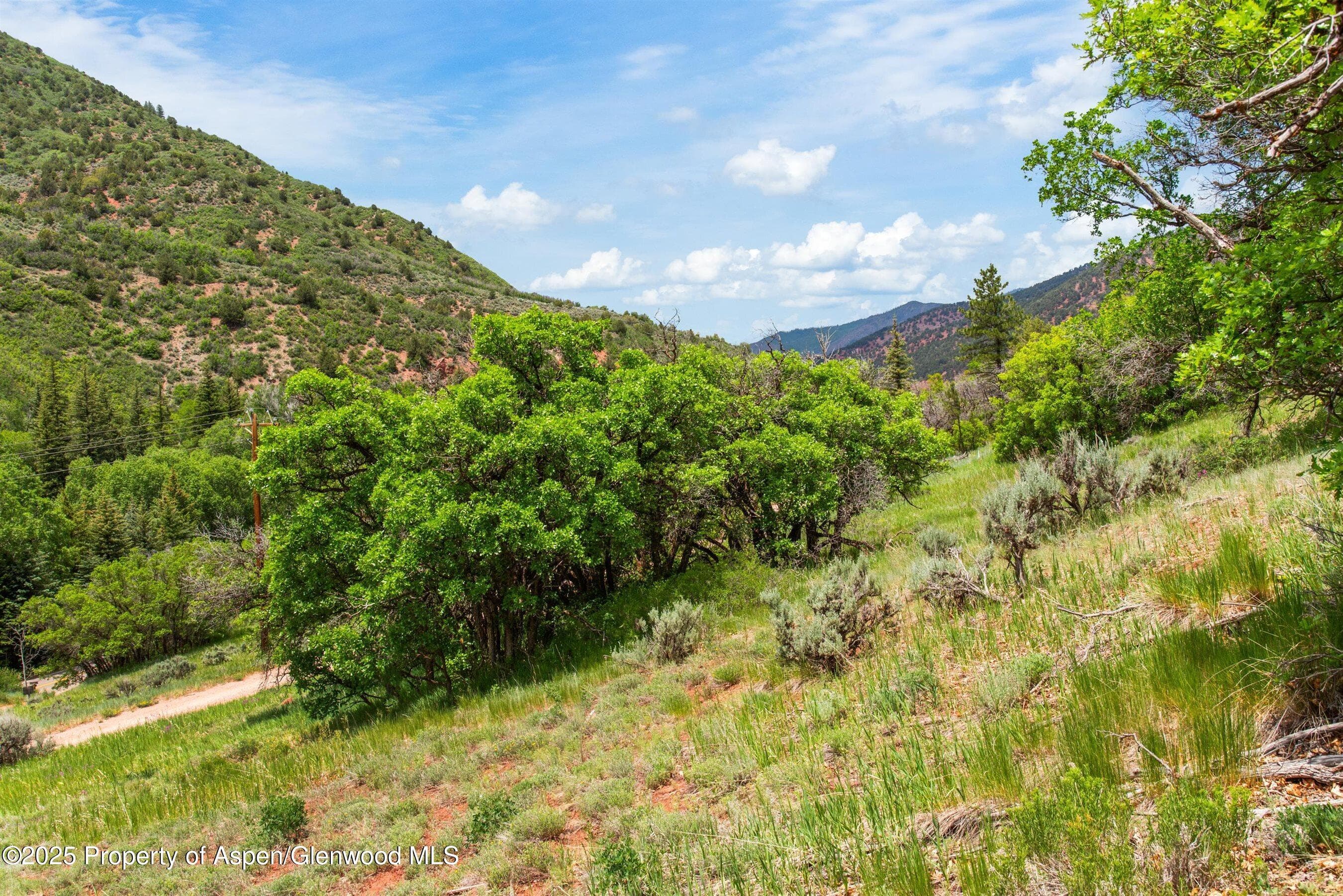 354 Snowmass Creek Road, Snowmass, CO 81654 - Photo 4