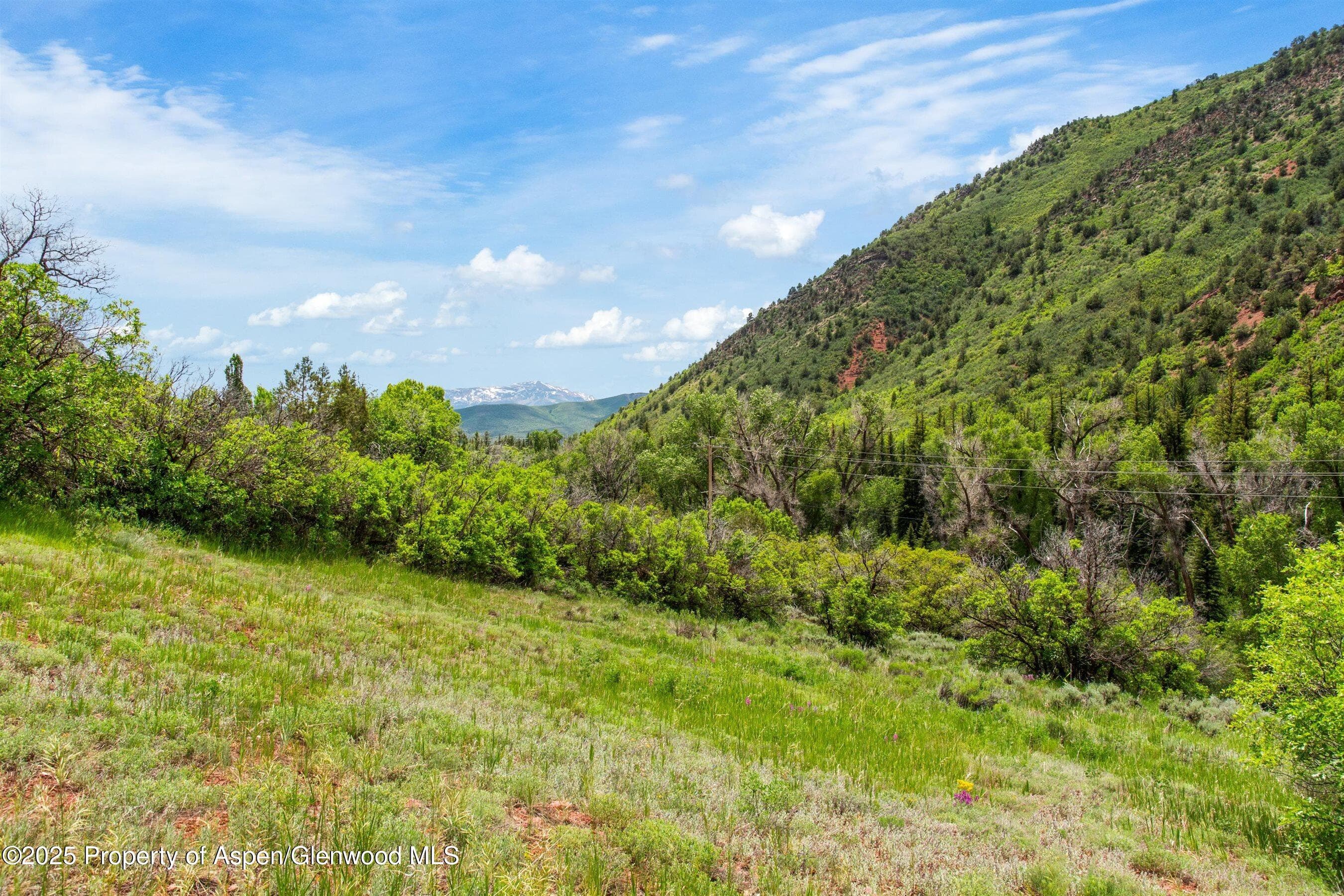 354 Snowmass Creek Road, Snowmass, CO 81654 - Photo 5