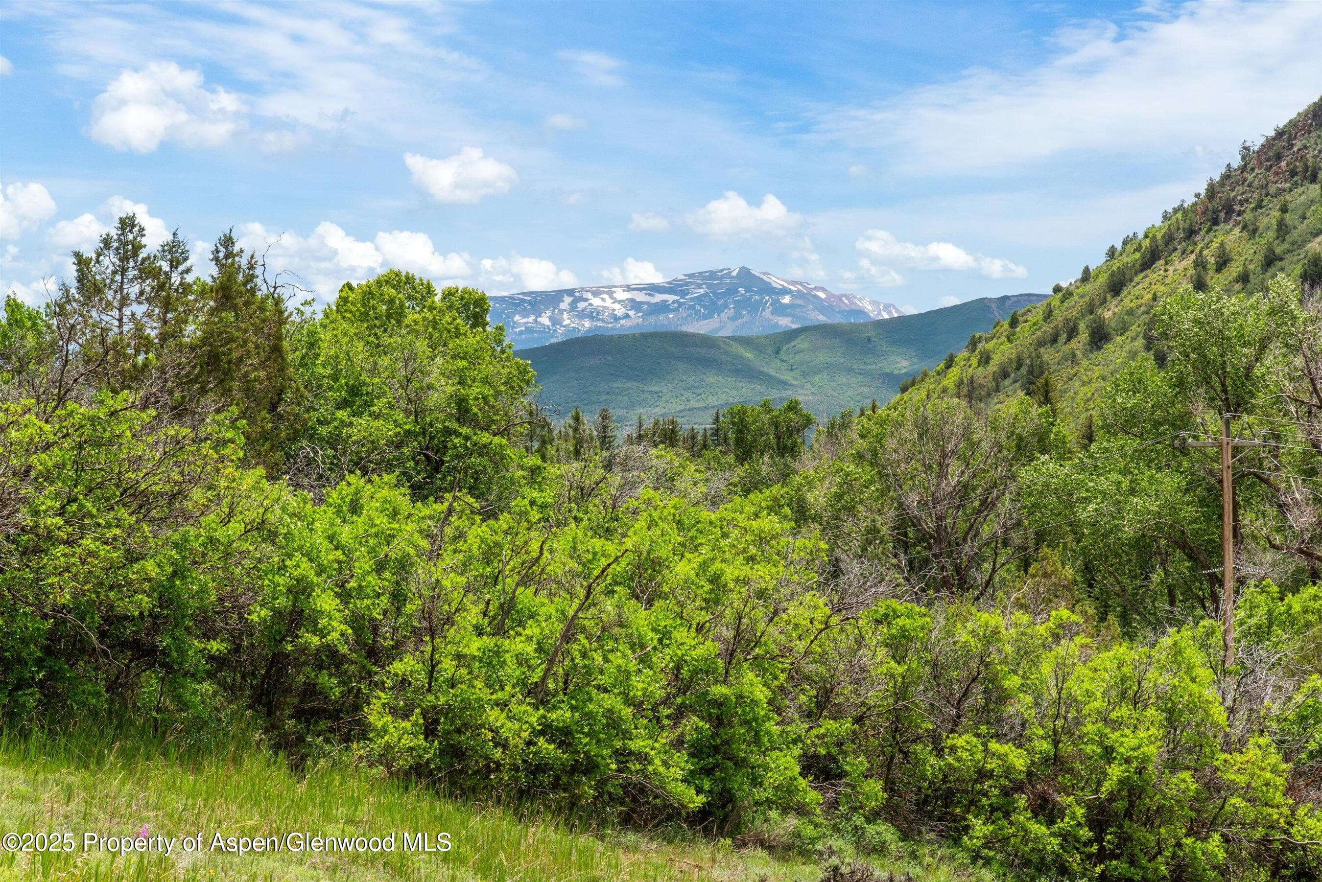 354 Snowmass Creek Road, Snowmass, CO 81654 - Photo 6