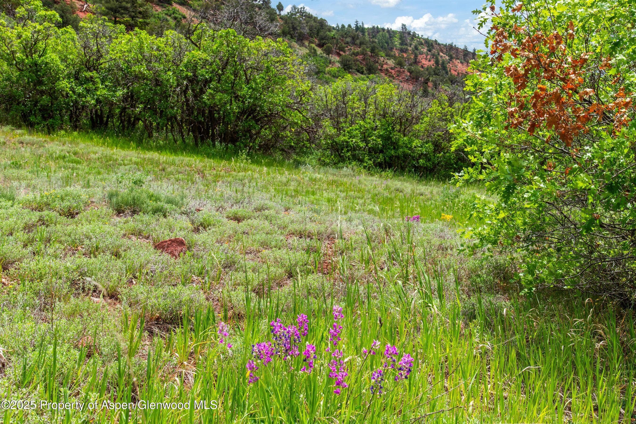 354 Snowmass Creek Road, Snowmass, CO 81654 - Photo 7