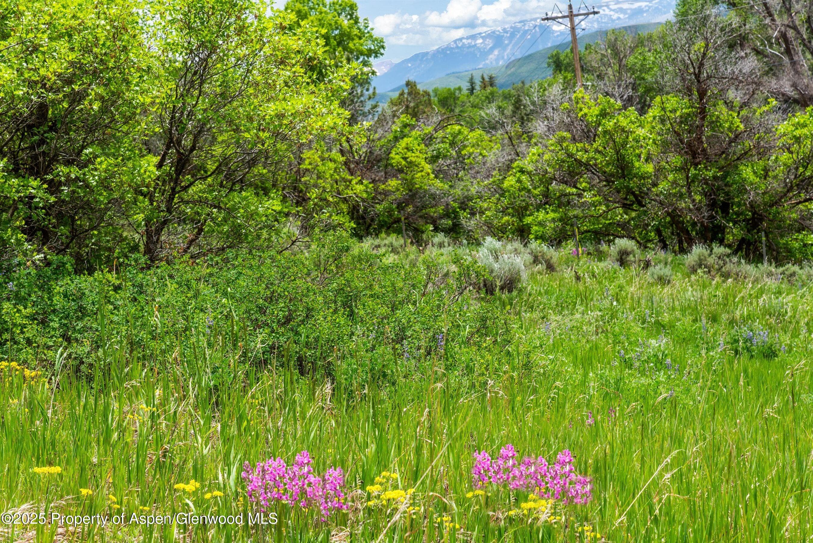 354 Snowmass Creek Road, Snowmass, CO 81654 - Photo 8