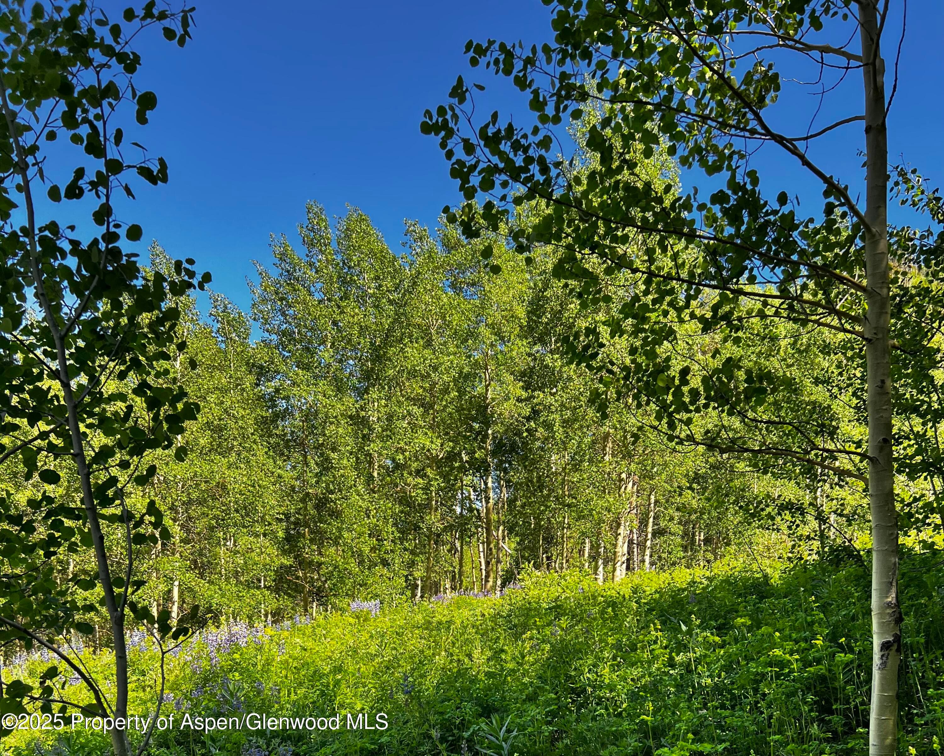 2601 Midnight Mine Road Road, Aspen, CO 81611 - Photo 5