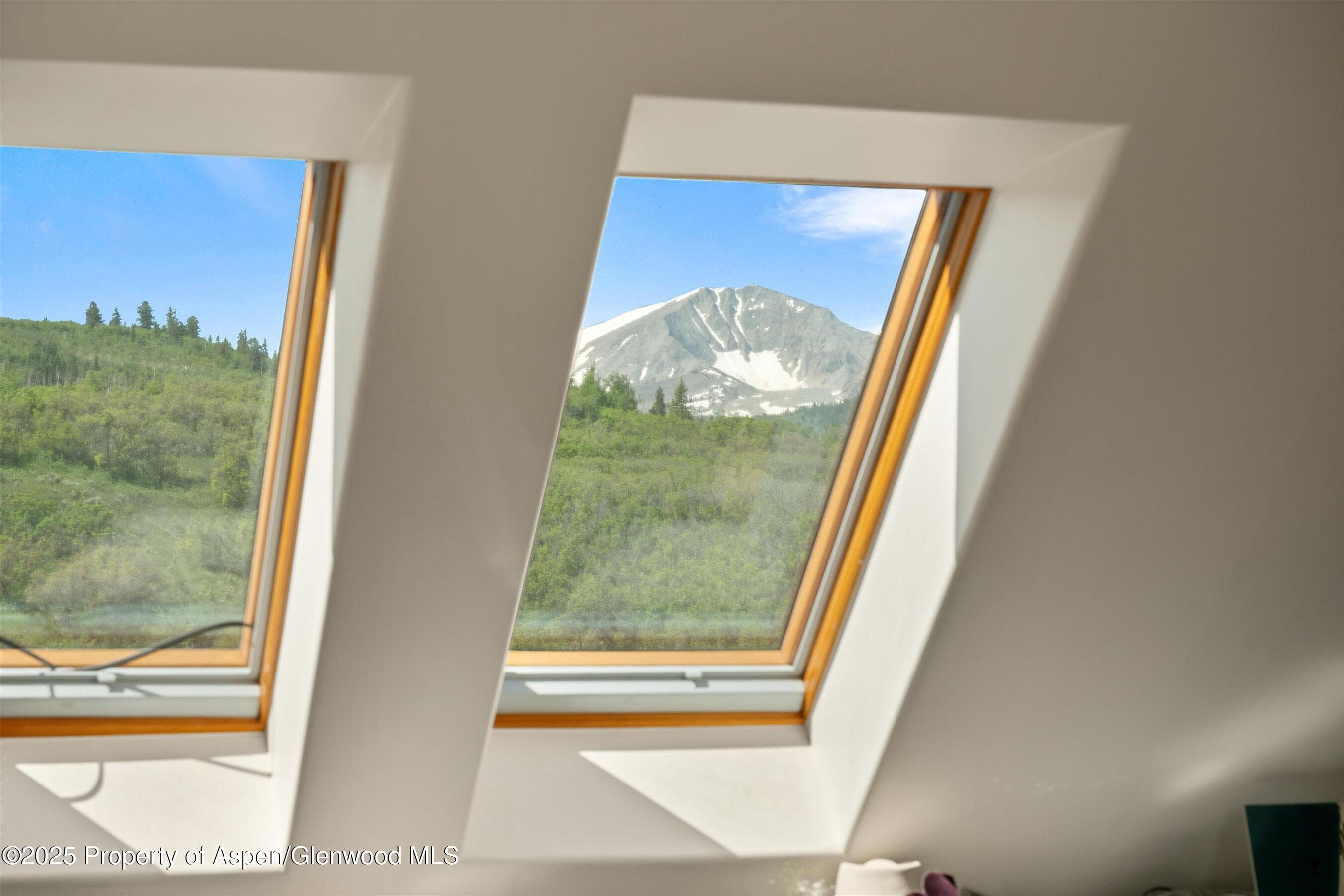 2240 Old Herron Road, Basalt, CO 81621 - Photo 28