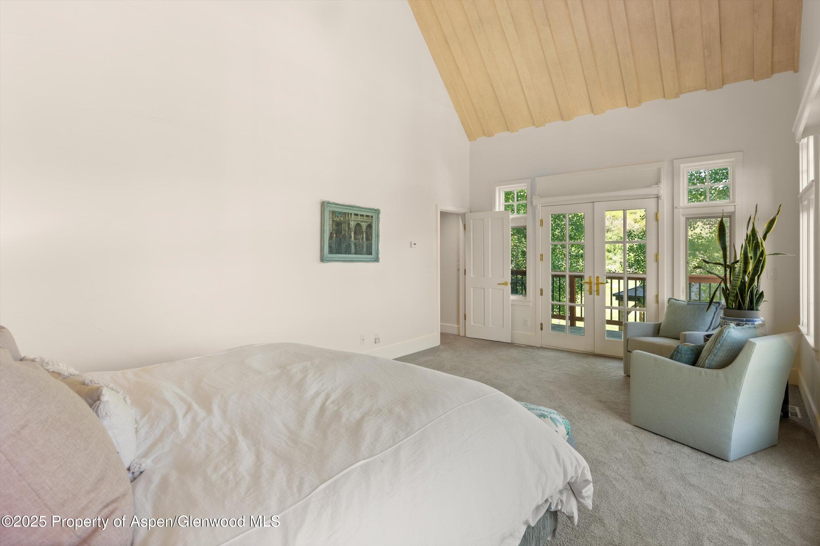 2240 Old Herron Road, Basalt, CO 81621 - Photo 12