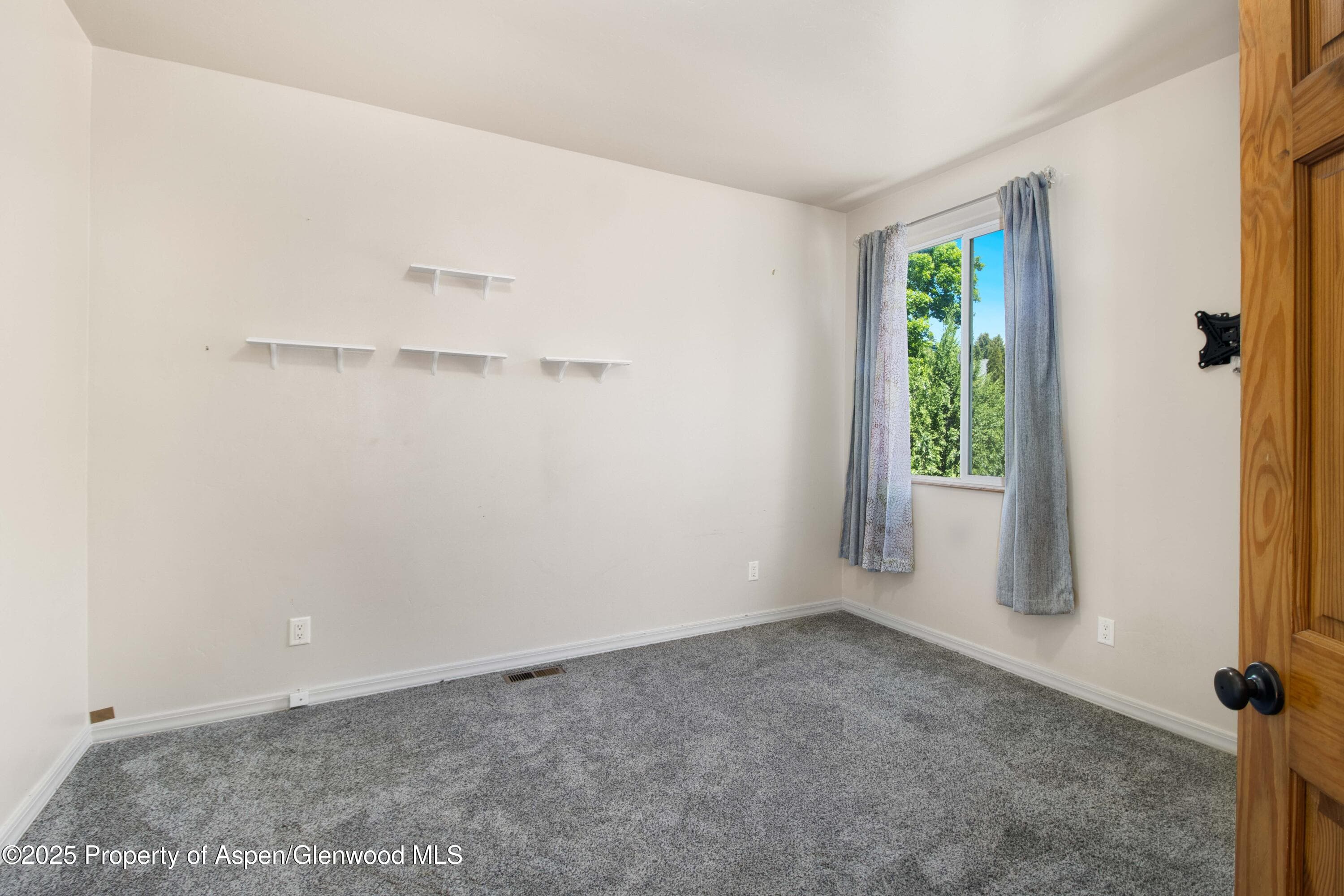 14 GAMBA Drive, Glenwood Springs, CO 81601 - Photo 23