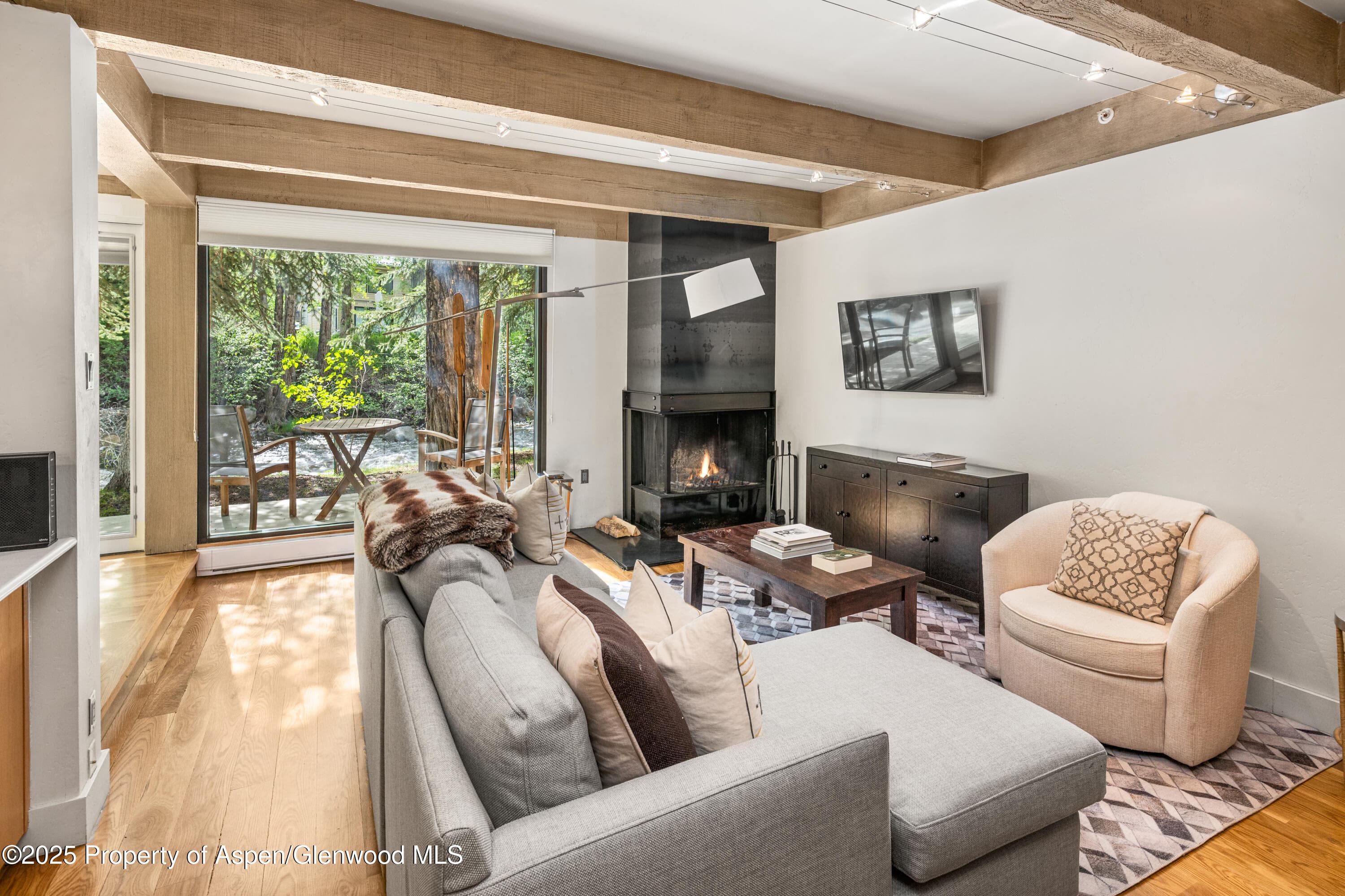 1034 E Cooper Avenue 24, Aspen, CO 81611 - Photo 2