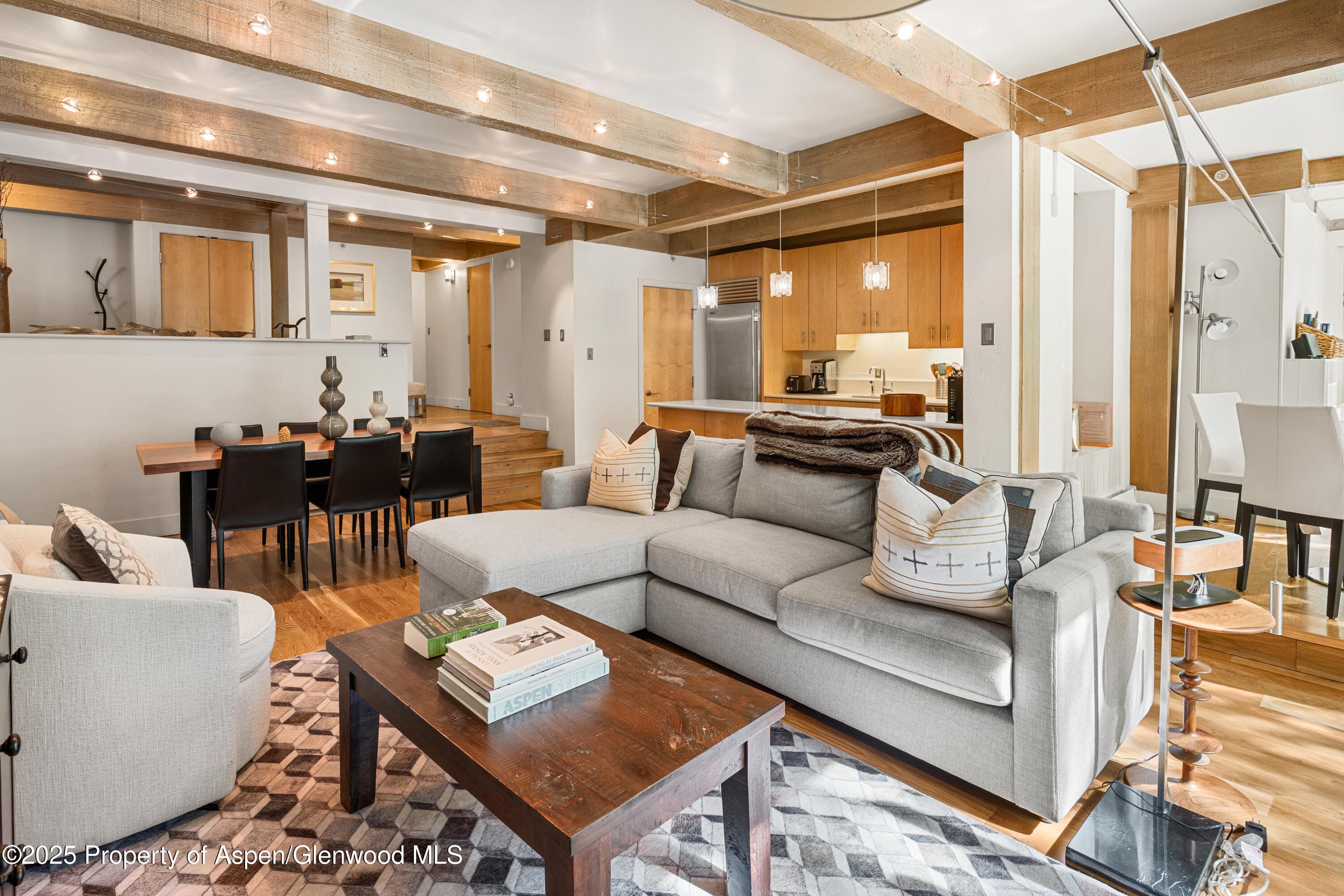 1034 E Cooper Avenue 24, Aspen, CO 81611 - Photo 4