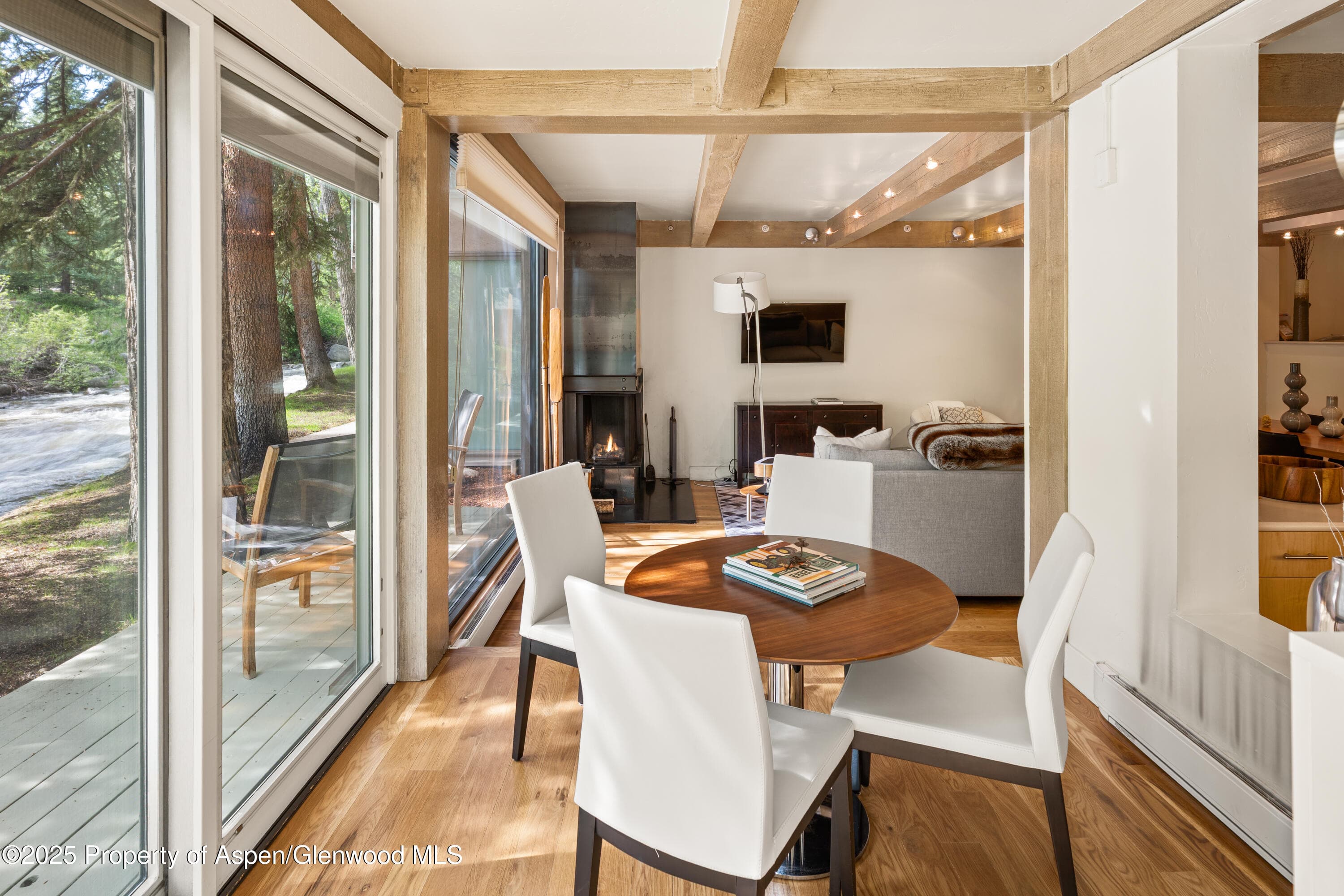1034 E Cooper Avenue 24, Aspen, CO 81611 - Photo 8