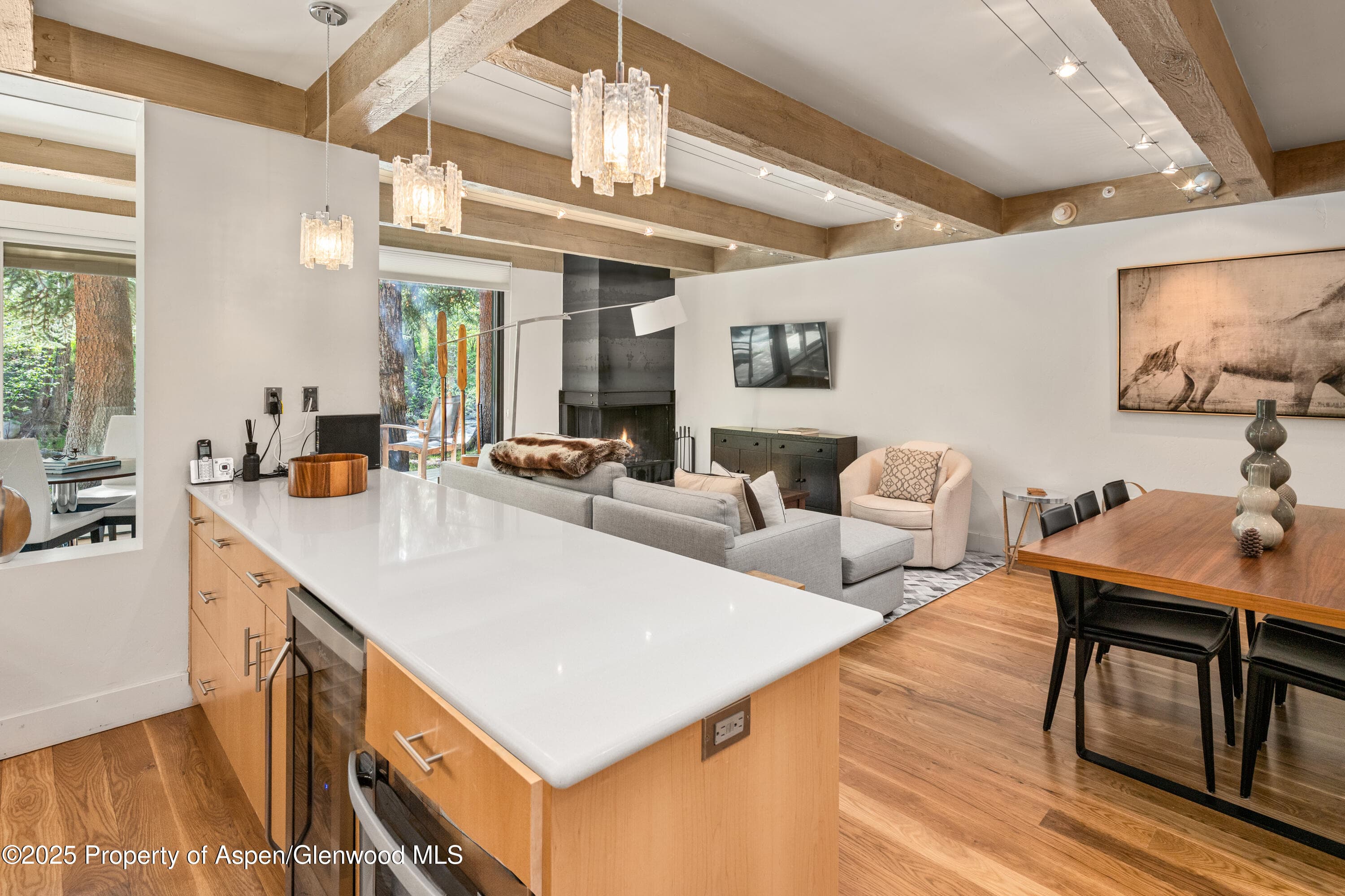 1034 E Cooper Avenue 24, Aspen, CO 81611 - Photo 9