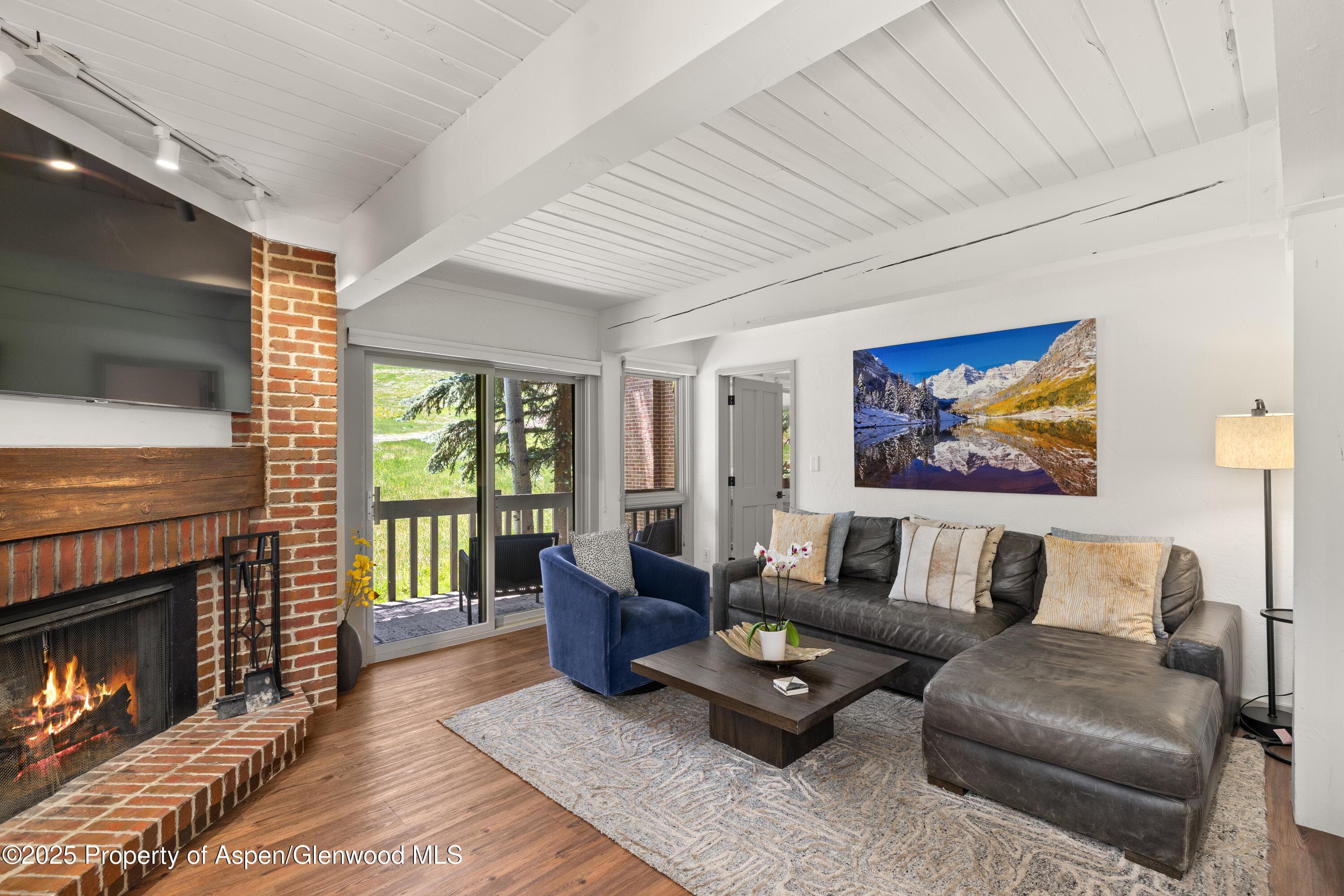 70 Gallun Lane 206B, Snowmass Village, CO 81615 - Photo 2