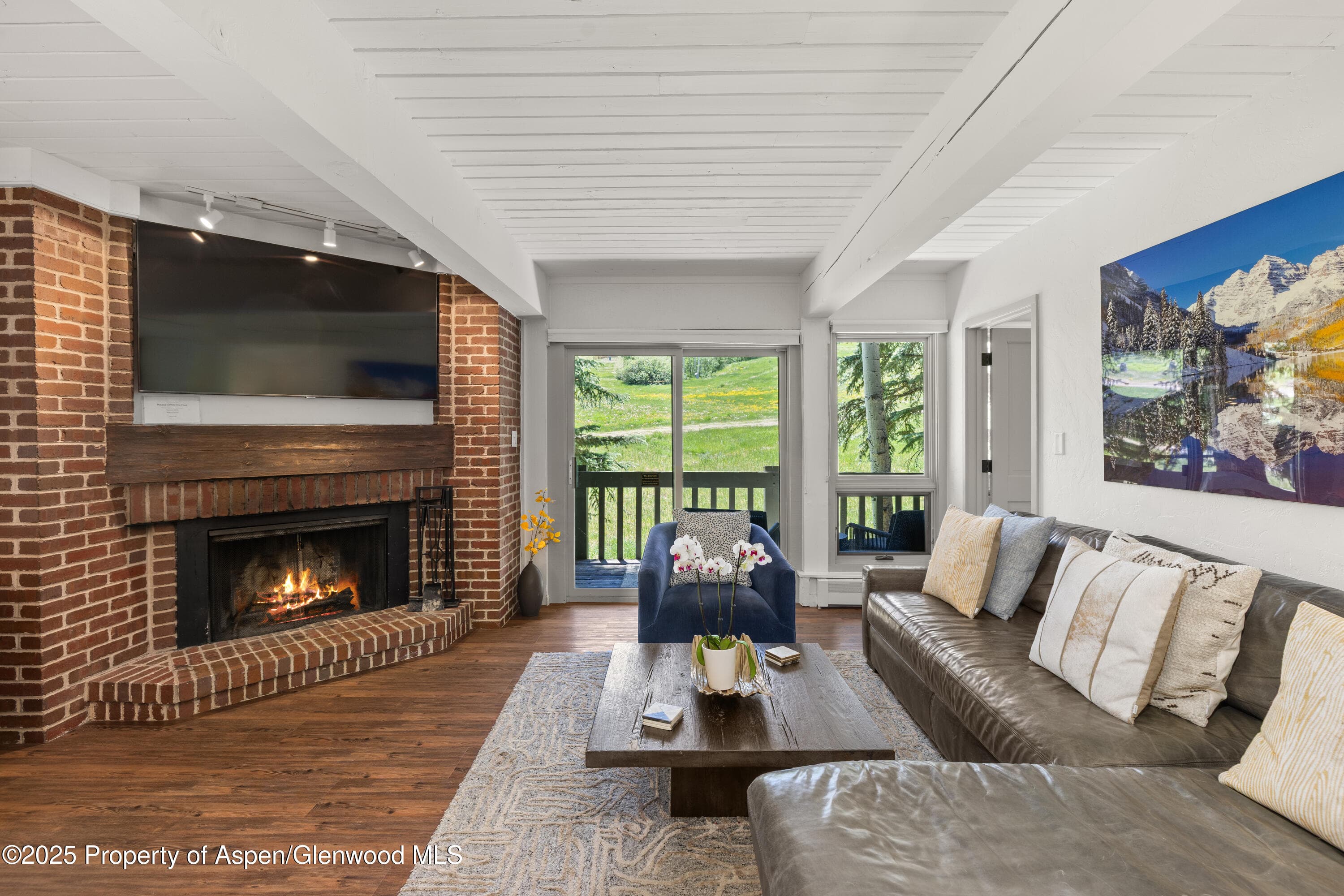 70 Gallun Lane 206B, Snowmass Village, CO 81615 - Photo 3