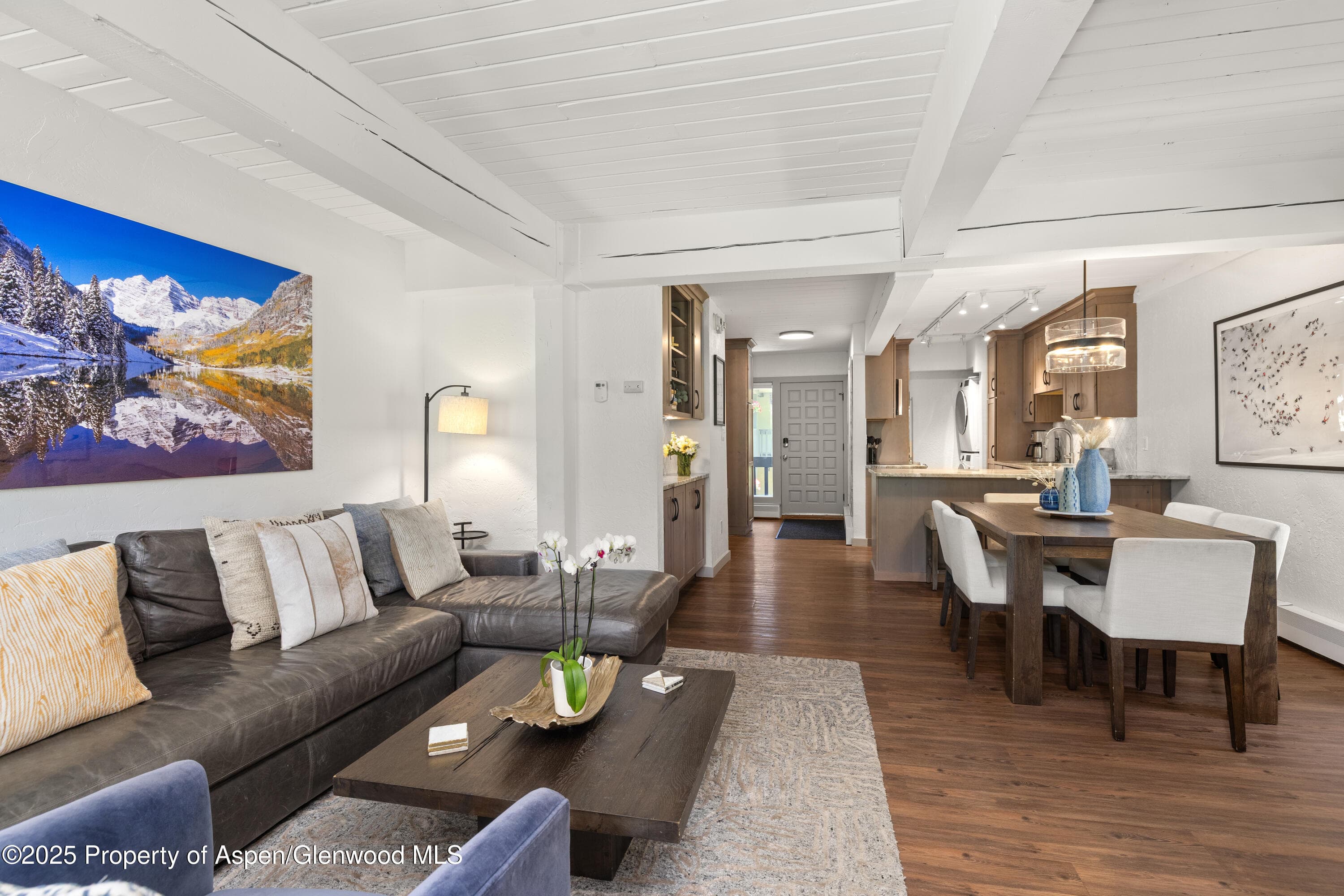70 Gallun Lane 206B, Snowmass Village, CO 81615 - Photo 4