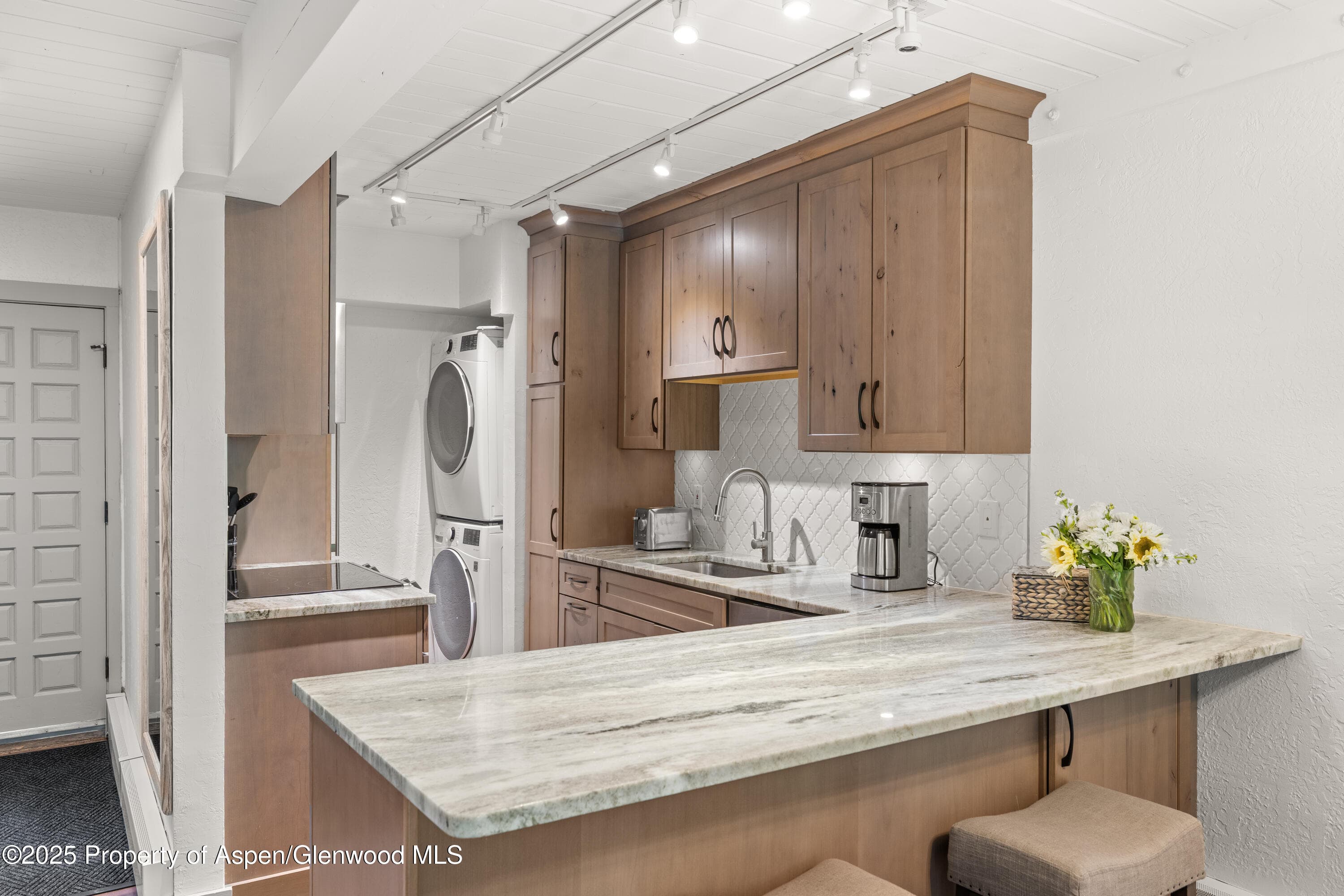 70 Gallun Lane 206B, Snowmass Village, CO 81615 - Photo 6