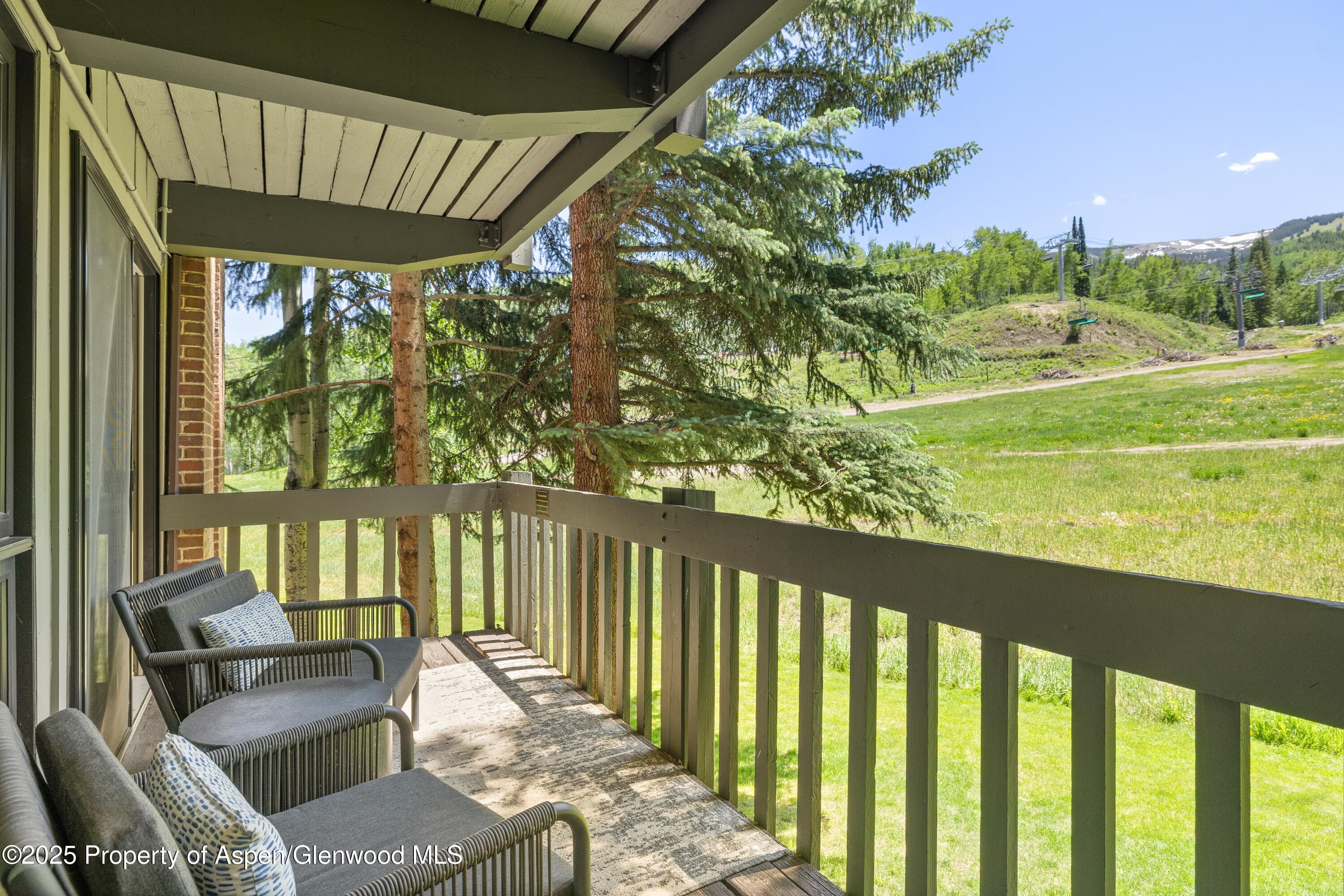 70 Gallun Lane 206B, Snowmass Village, CO 81615 - Photo 9