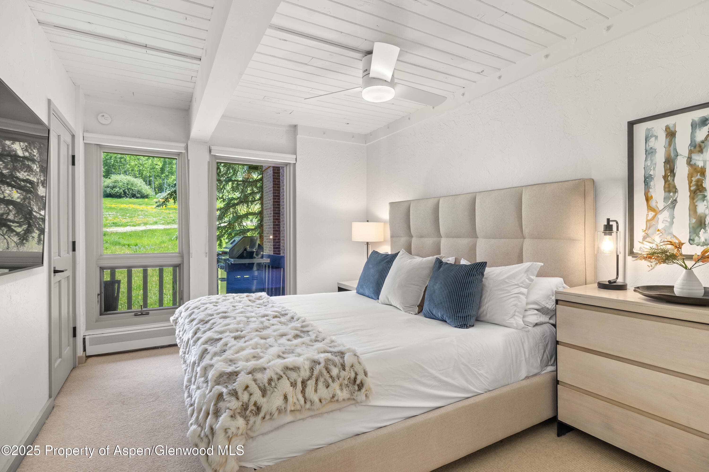 70 Gallun Lane 206B, Snowmass Village, CO 81615 - Photo 10
