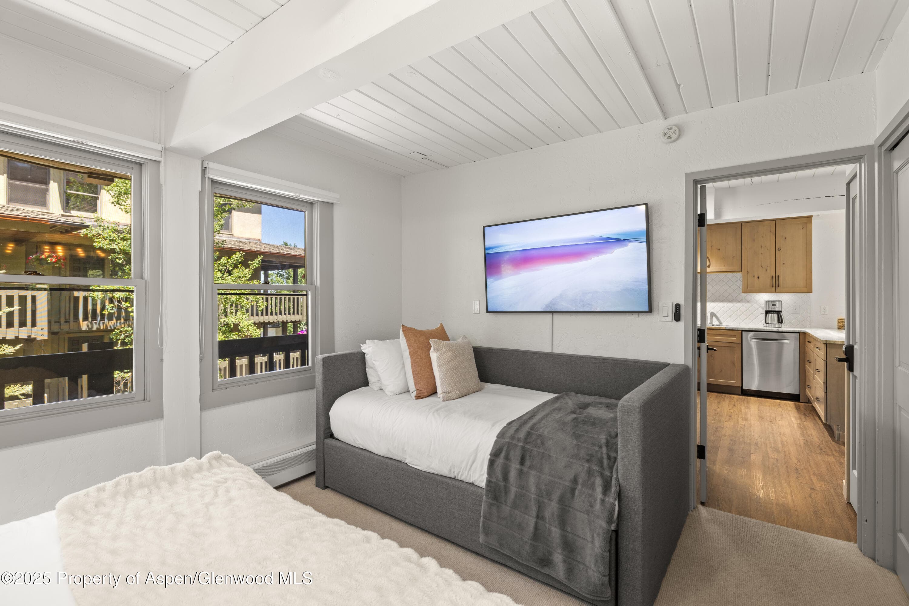 70 Gallun Lane 206B, Snowmass Village, CO 81615 - Photo 13