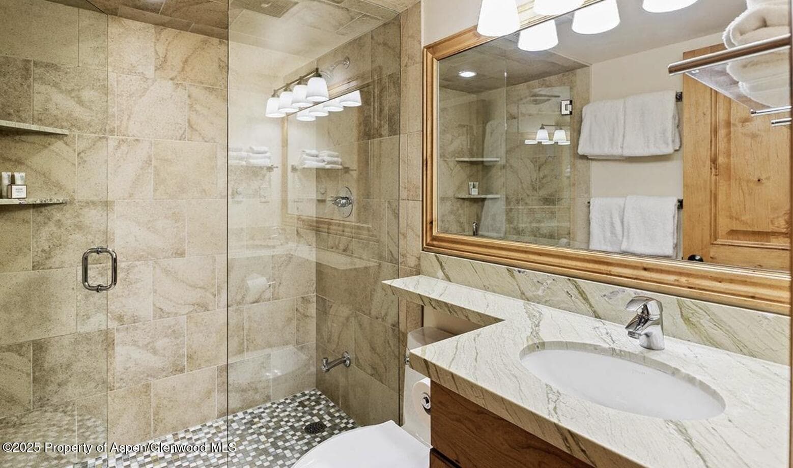 901 E Hyman Avenue 13, Aspen, CO 81611 - Photo 10