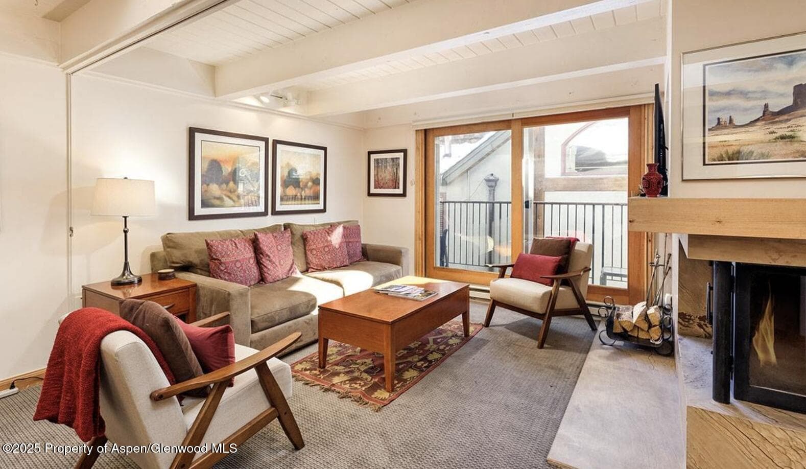901 E Hyman Avenue 13, Aspen, CO 81611 - Photo 11