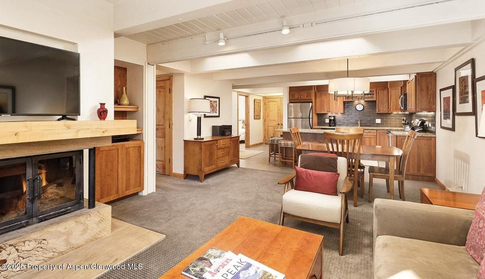 901 E Hyman Avenue 13, Aspen, CO 81611