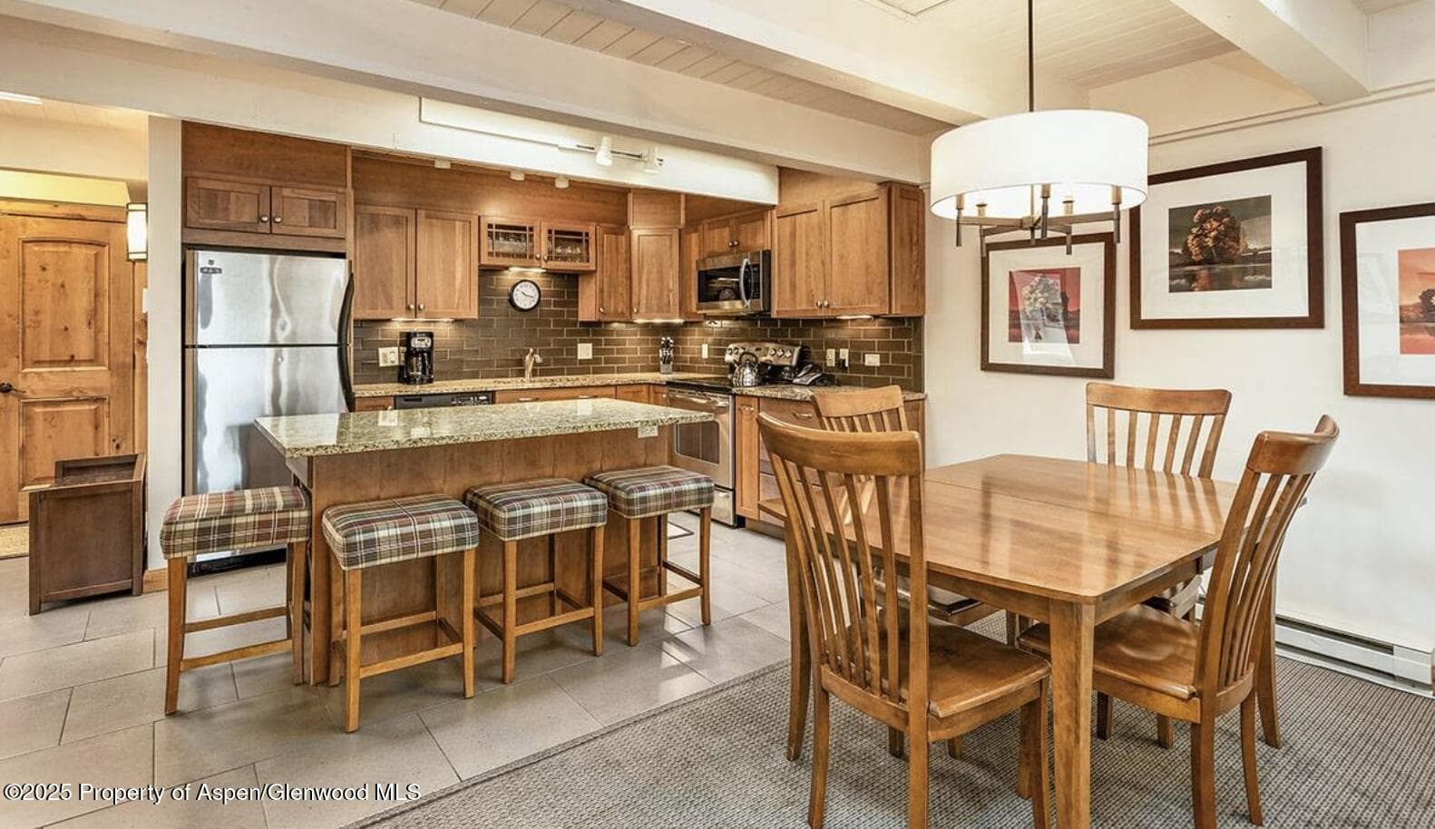 901 E Hyman Avenue 13, Aspen, CO 81611 - Photo 3