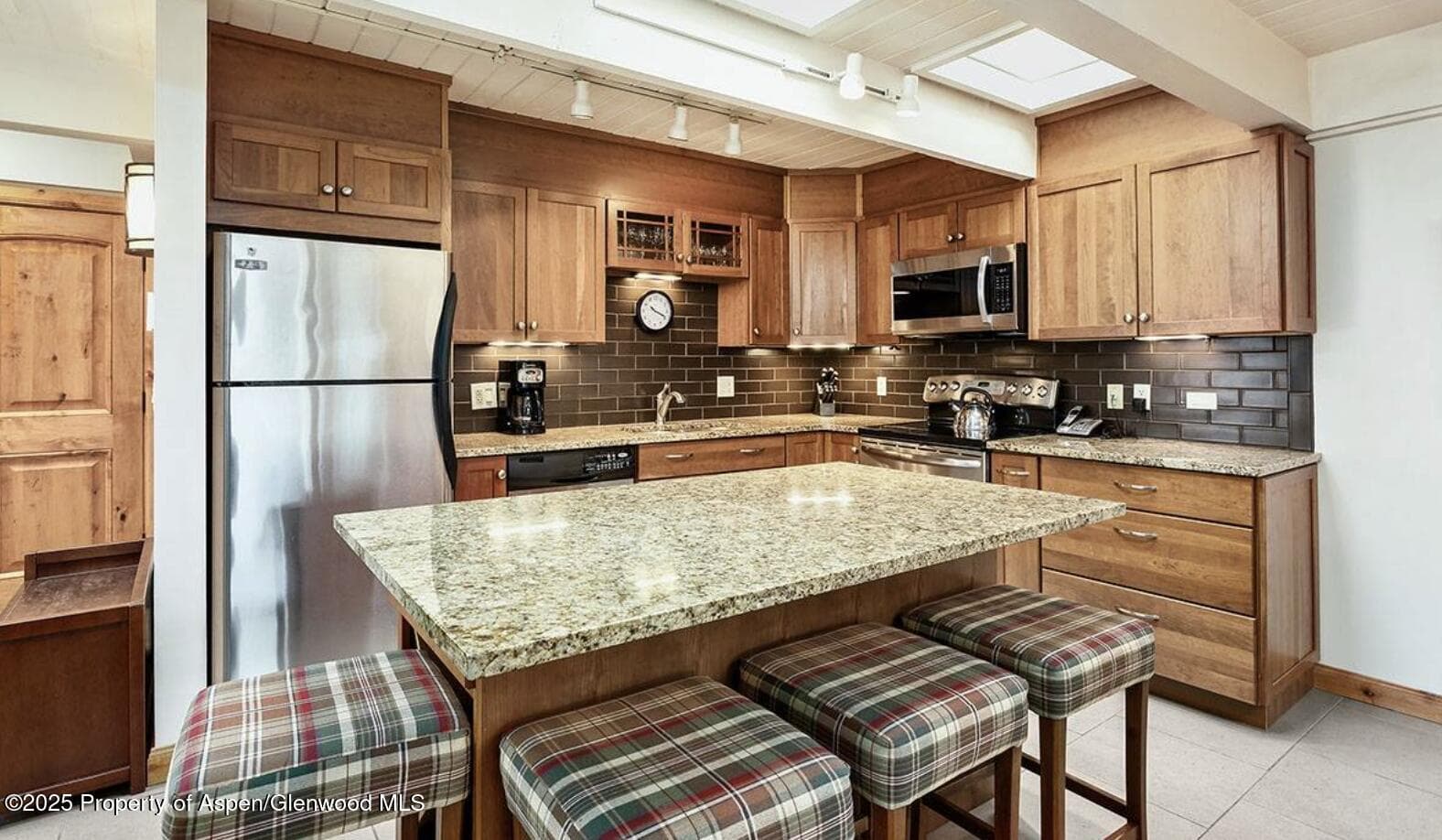 901 E Hyman Avenue 13, Aspen, CO 81611 - Photo 4