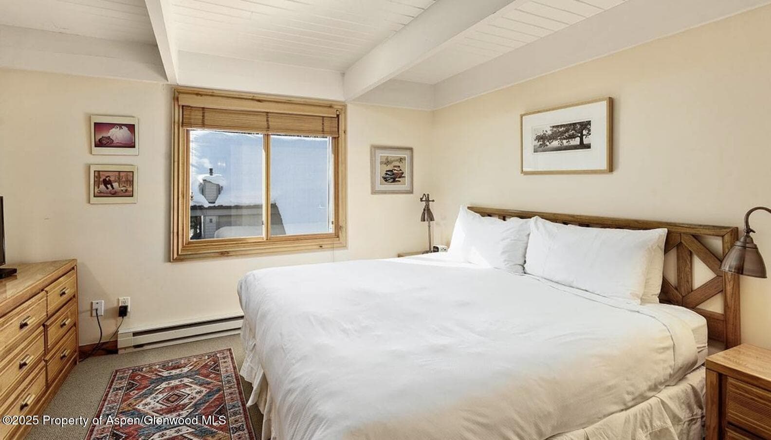 901 E Hyman Avenue 13, Aspen, CO 81611 - Photo 5
