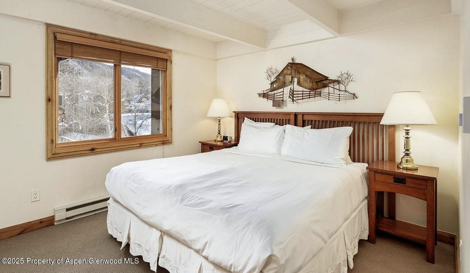 901 E Hyman Avenue 13, Aspen, CO 81611 - Photo 6