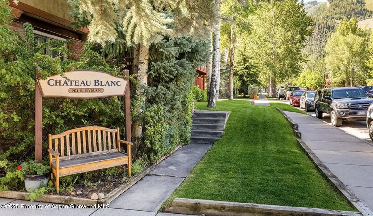 901 E Hyman Avenue 13, Aspen, CO 81611 - Photo 7