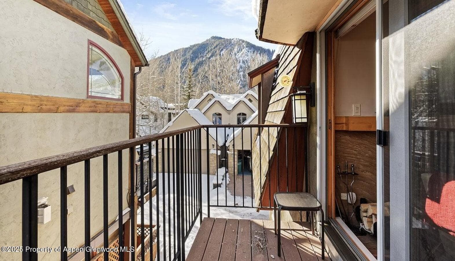 901 E Hyman Avenue 13, Aspen, CO 81611 - Photo 9