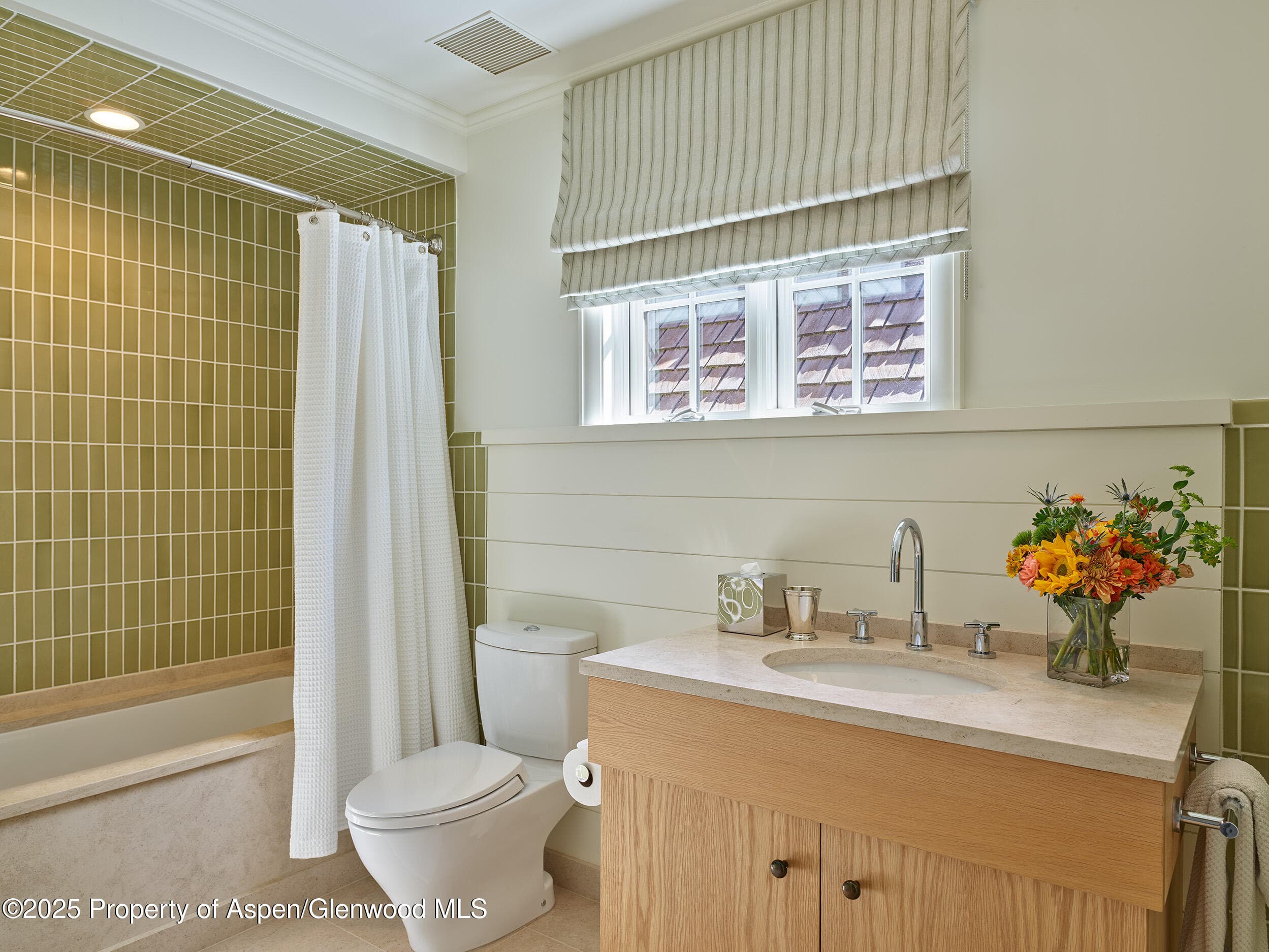 864 Moore Drive, Aspen, CO 81611 - Photo 18