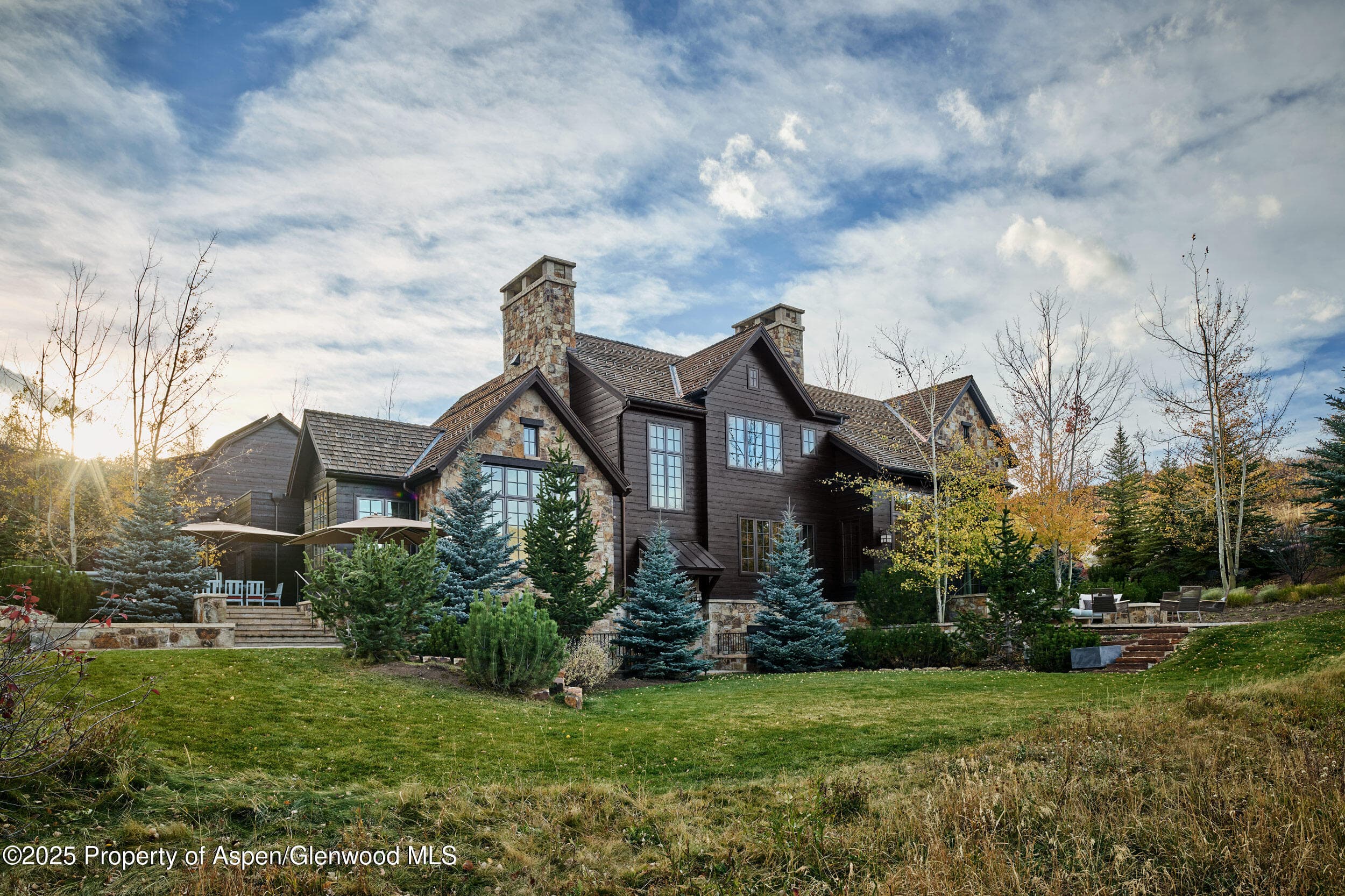 864 Moore Drive, Aspen, CO 81611 - Photo 29