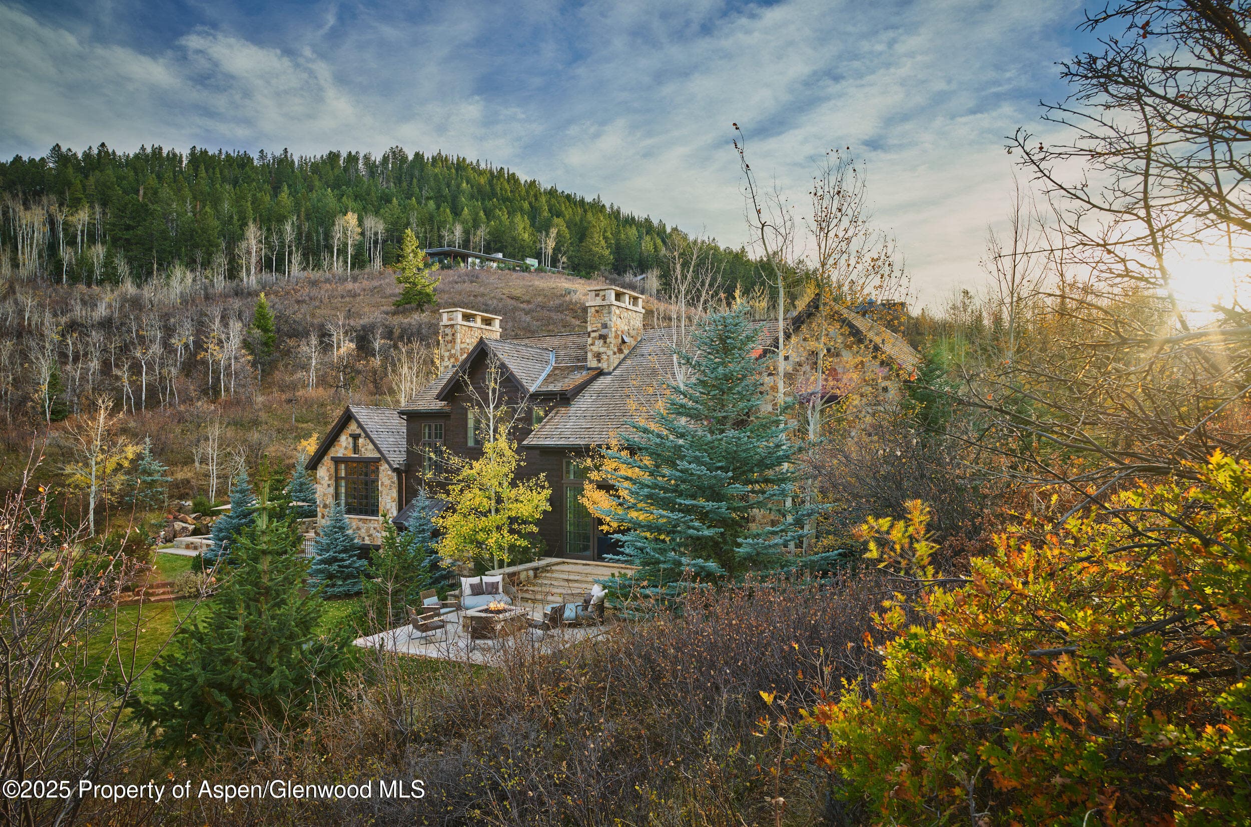 864 Moore Drive, Aspen, CO 81611 - Photo 31