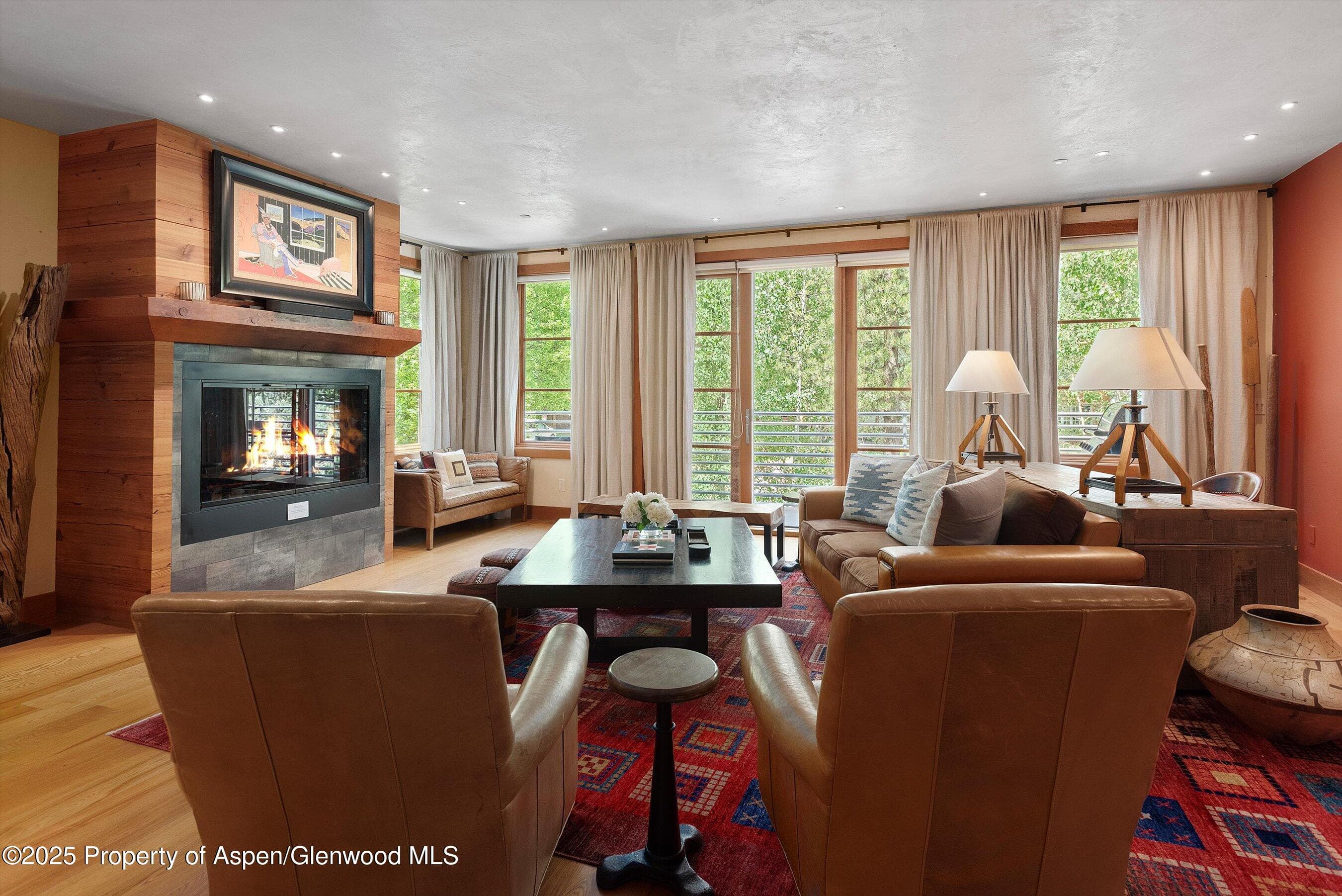 714 S Galena Street B, Aspen, CO 81611 - Photo 3