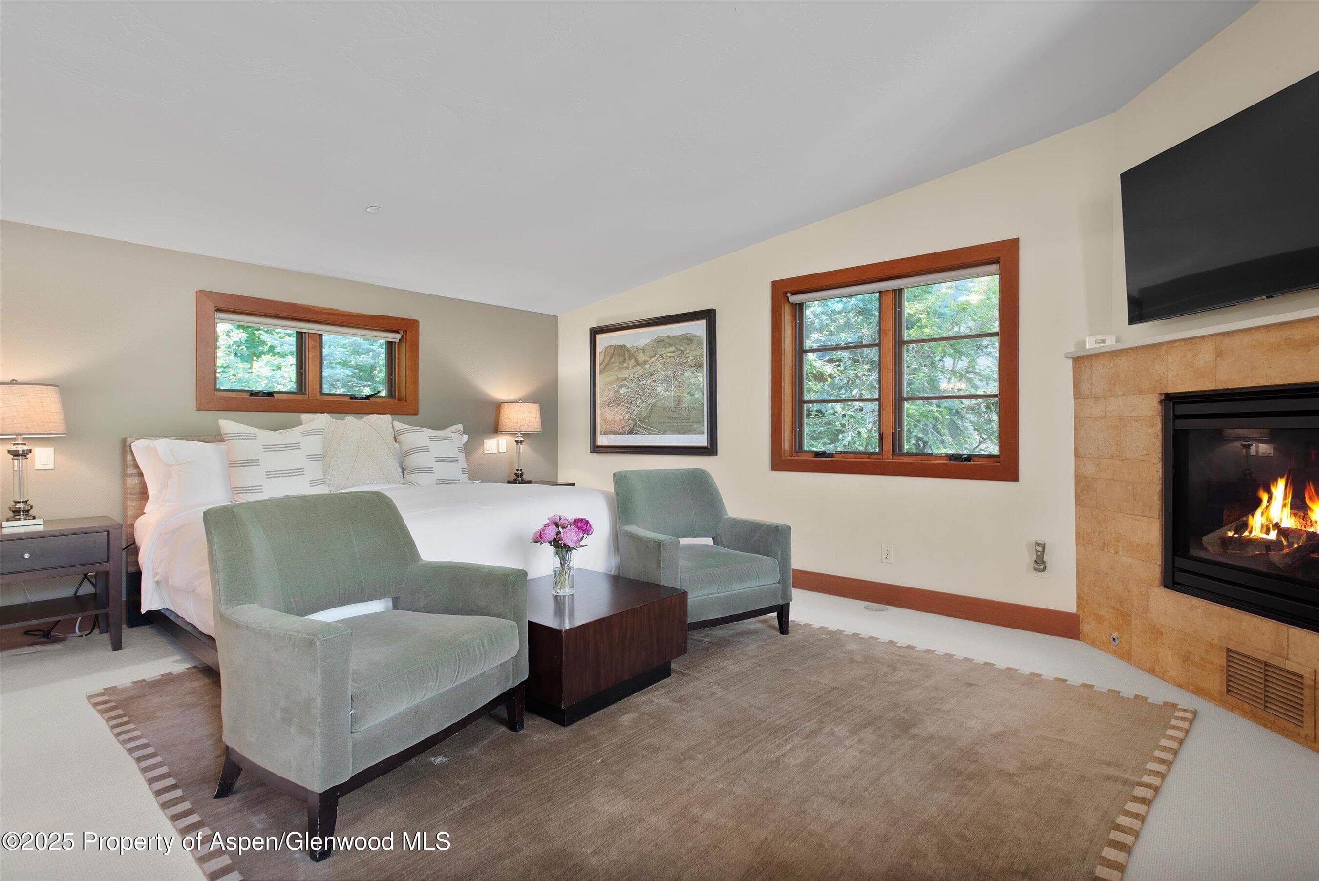 714 S Galena Street B, Aspen, CO 81611 - Photo 13