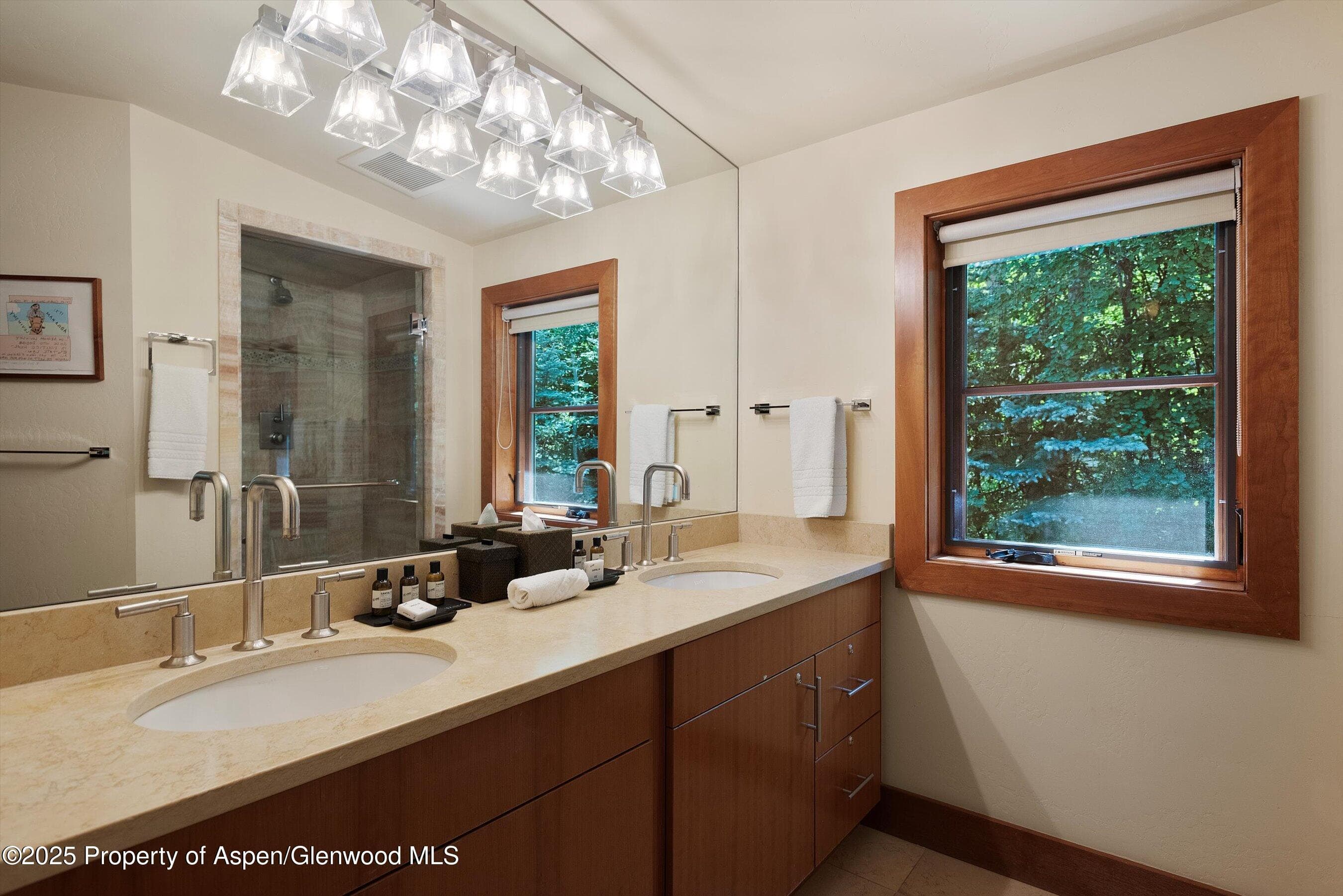 714 S Galena Street B, Aspen, CO 81611 - Photo 15