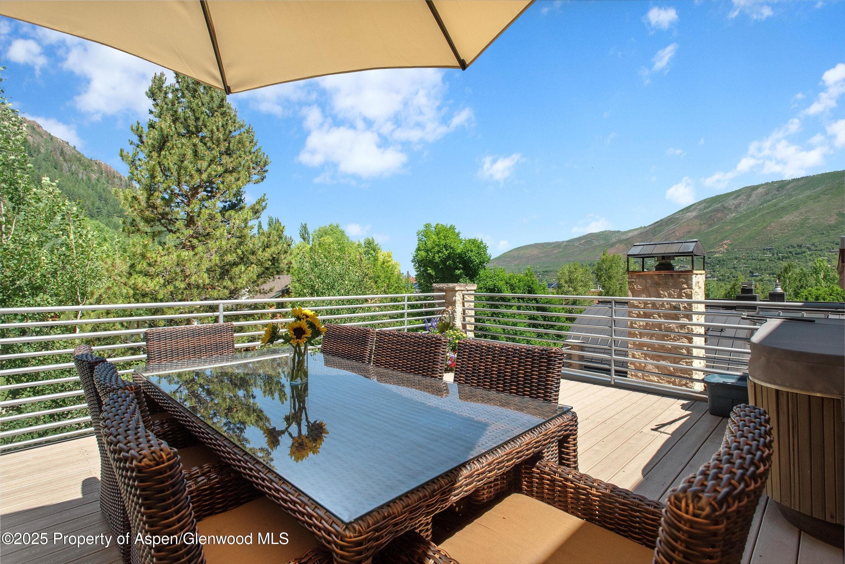 714 S Galena Street B, Aspen, CO 81611 - Photo 19