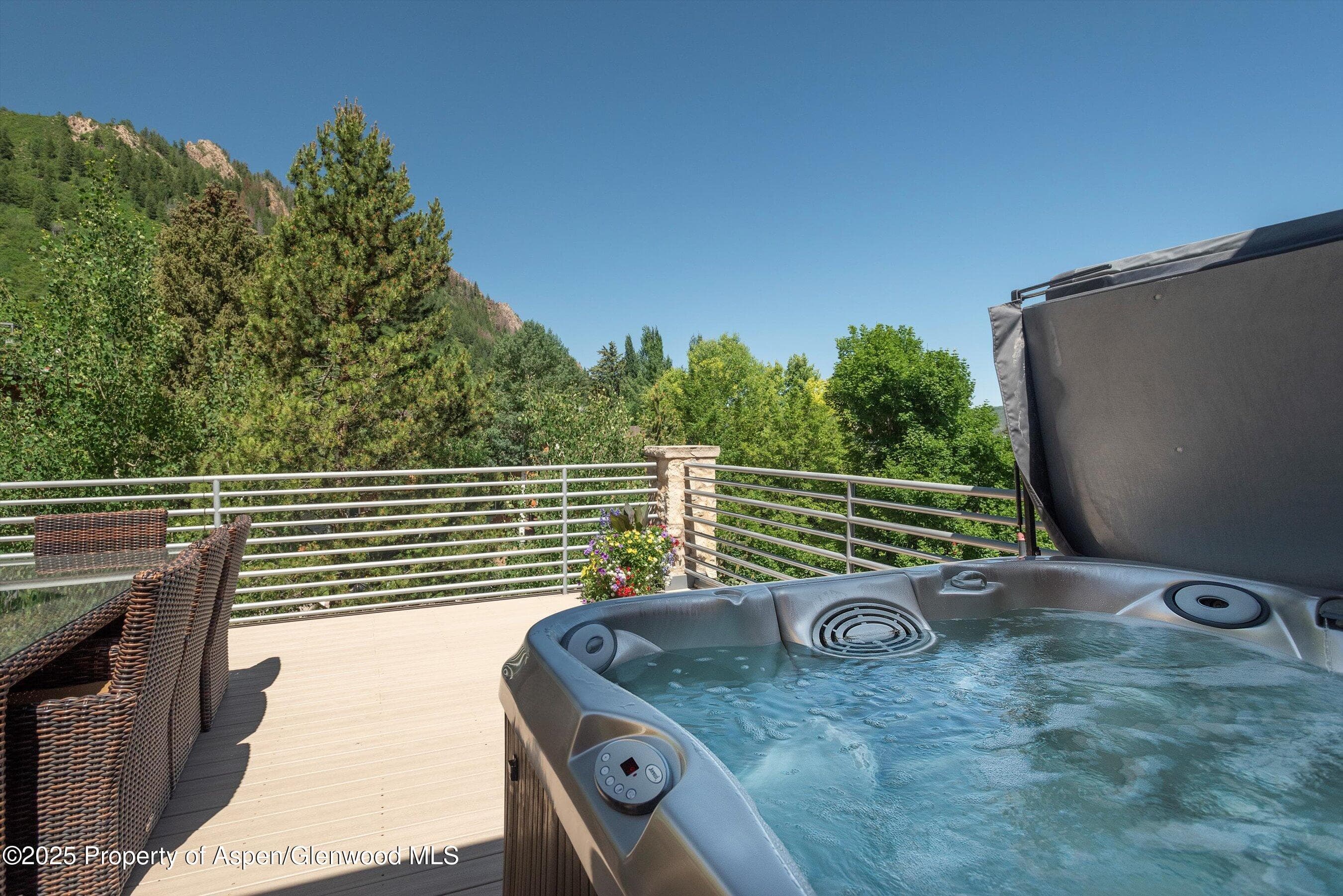 714 S Galena Street B, Aspen, CO 81611 - Photo 21