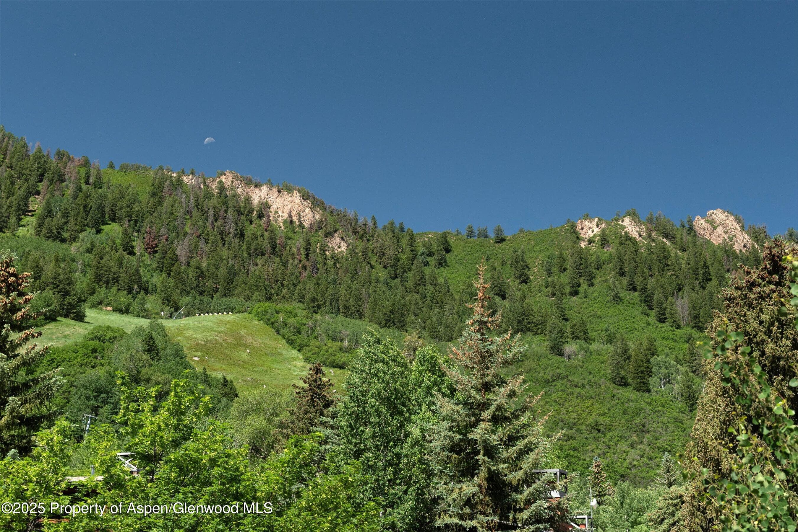 714 S Galena Street B, Aspen, CO 81611 - Photo 24